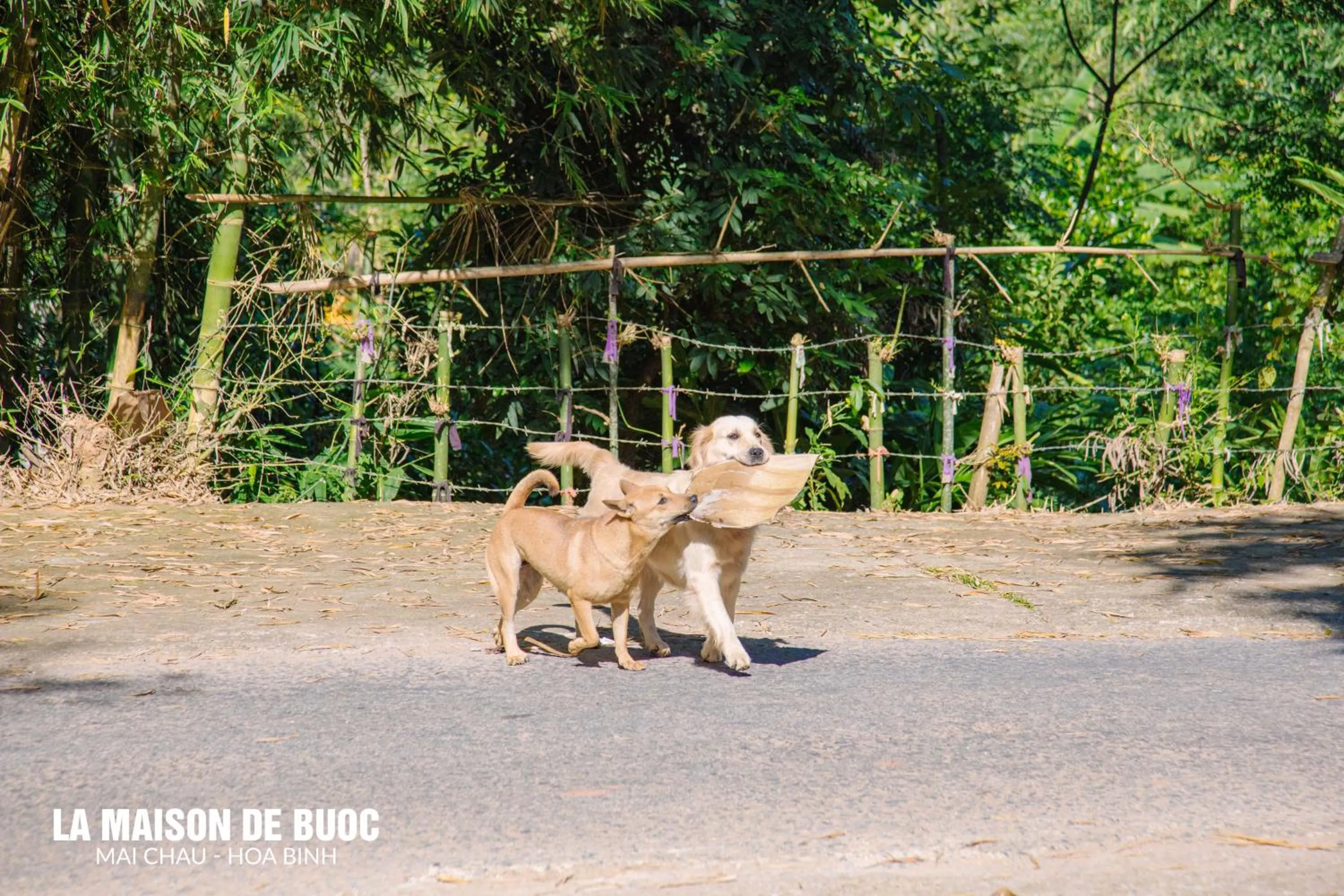 Day in La Maison De Buoc