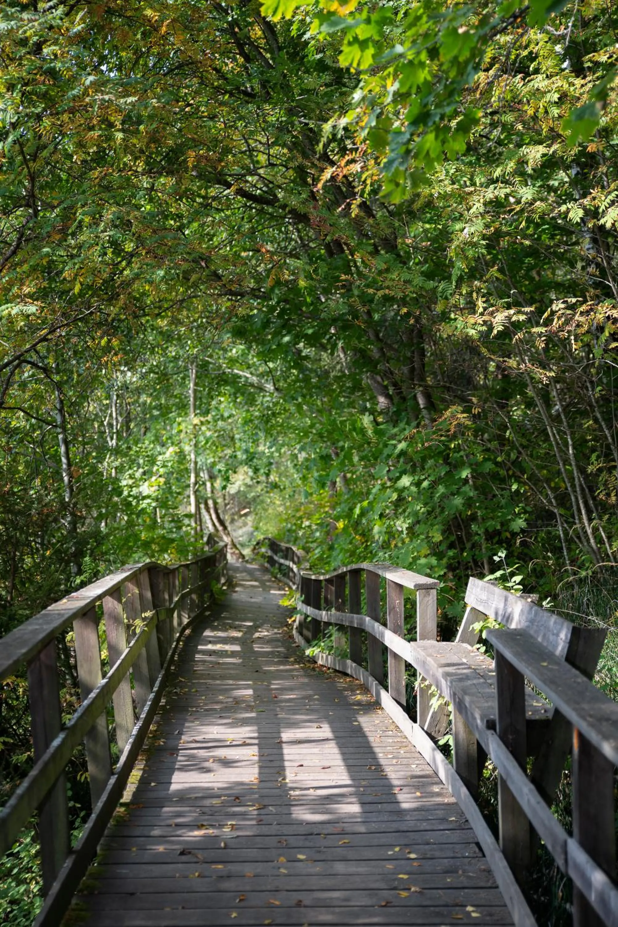 Other in Avesta Stadshotell