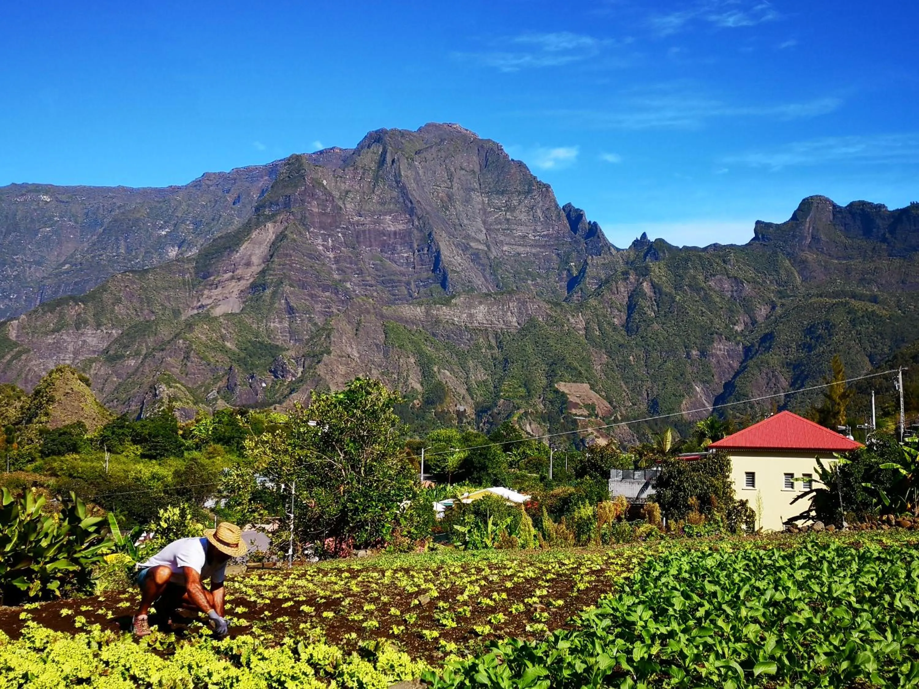 Neighbourhood in Case Nyala