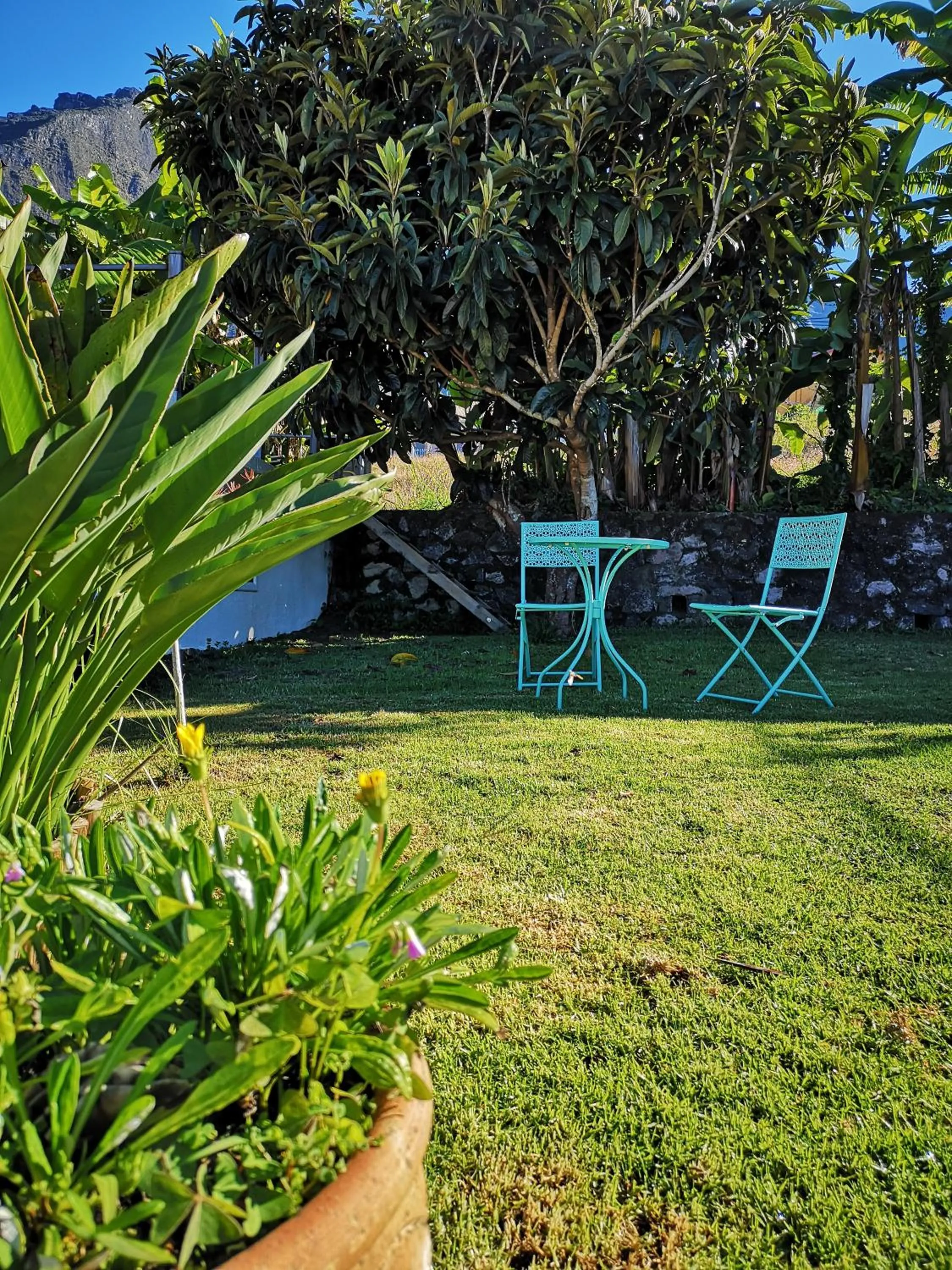 Garden in Case Nyala