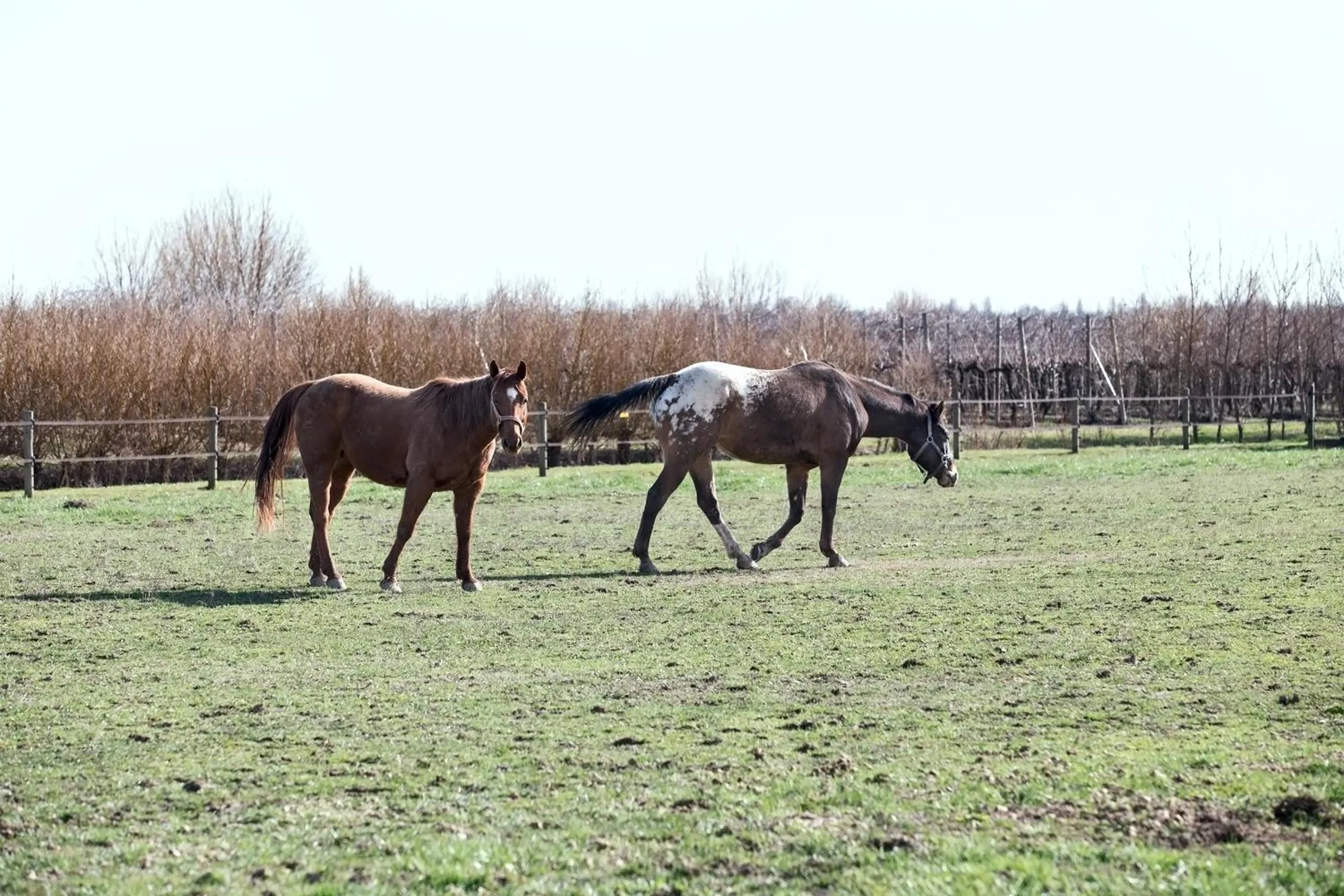Property building in Ca' Ciaran