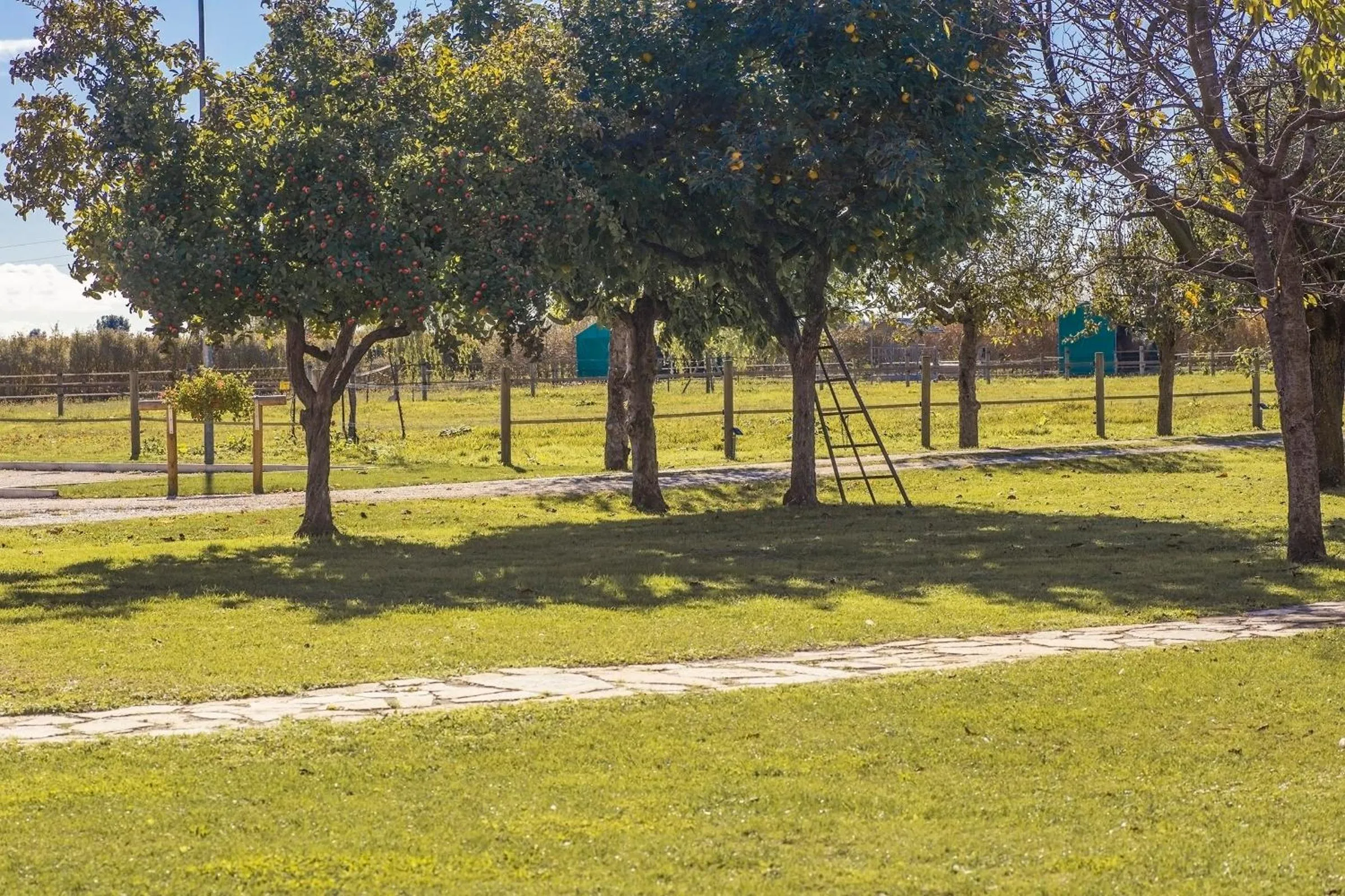 Property building in Ca' Ciaran