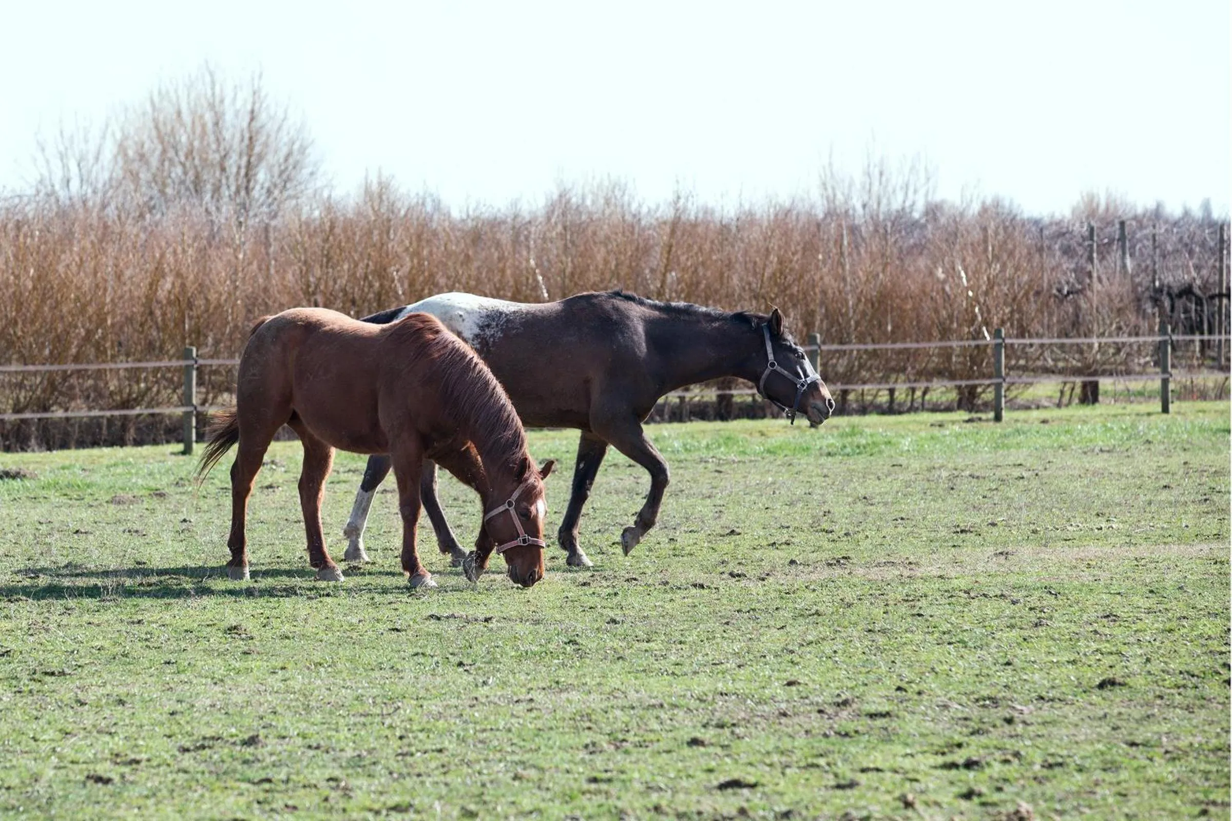 Property building in Ca' Ciaran