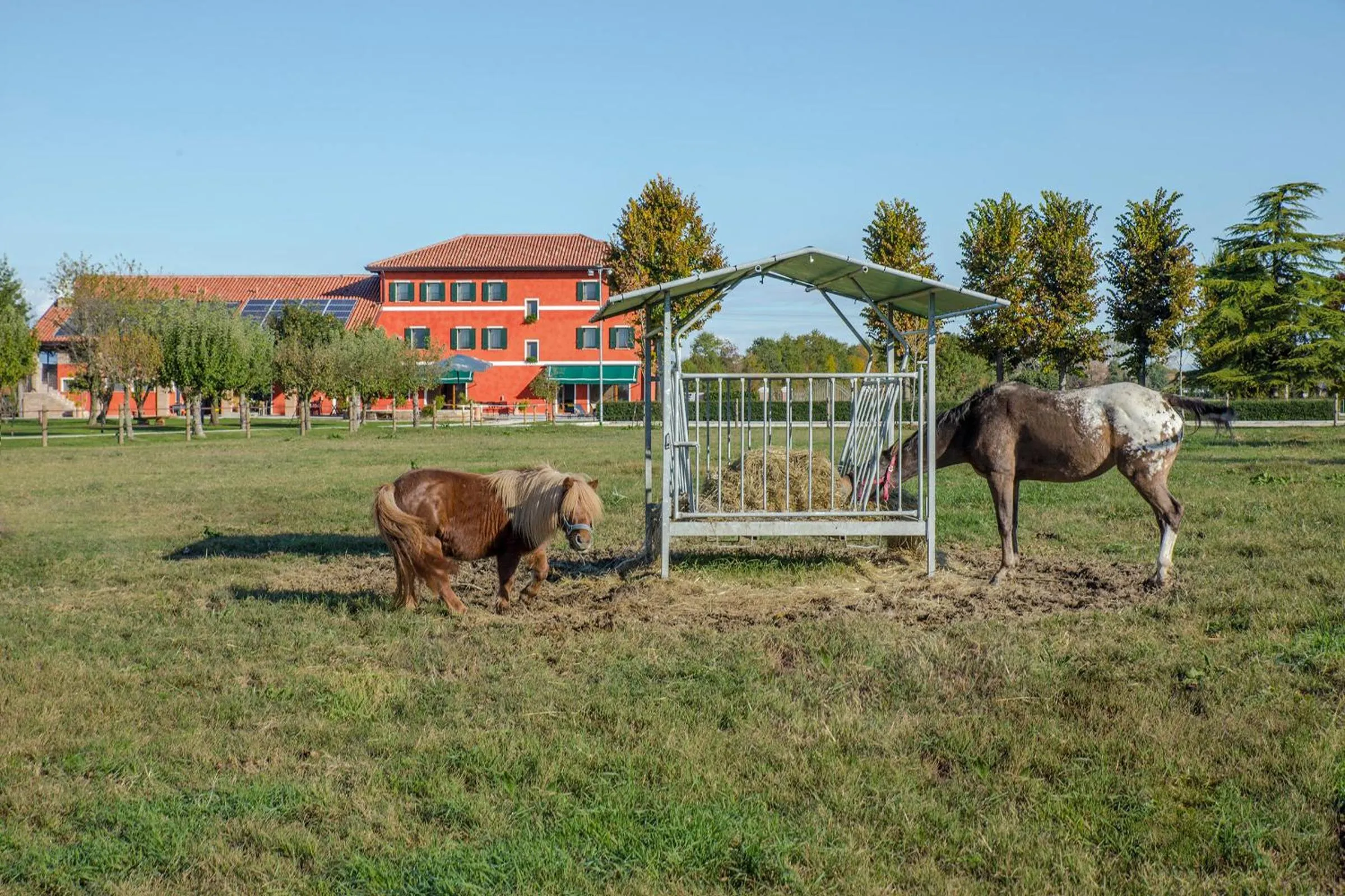 Property building in Ca' Ciaran