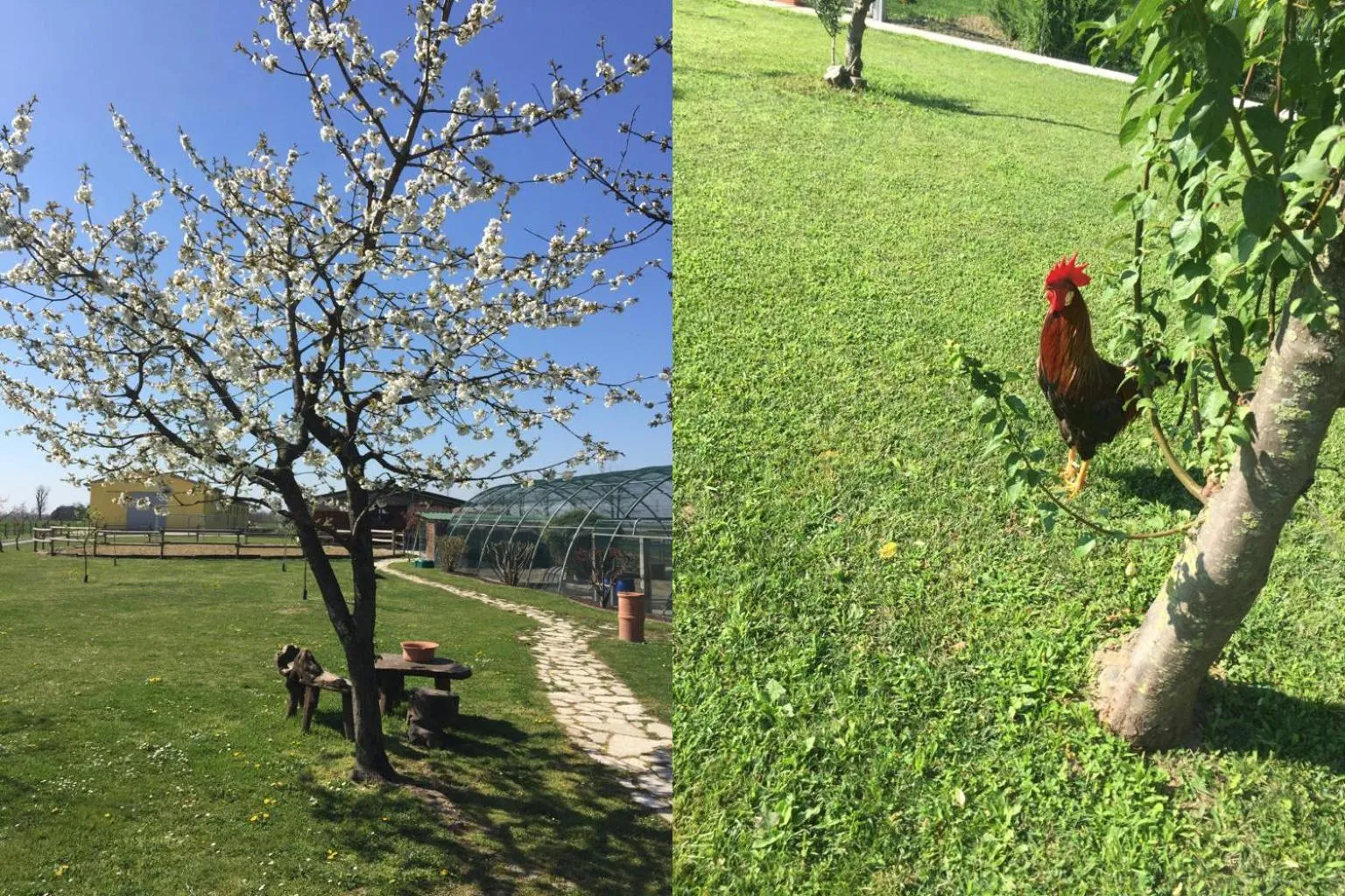 Natural landscape in Ca' Ciaran