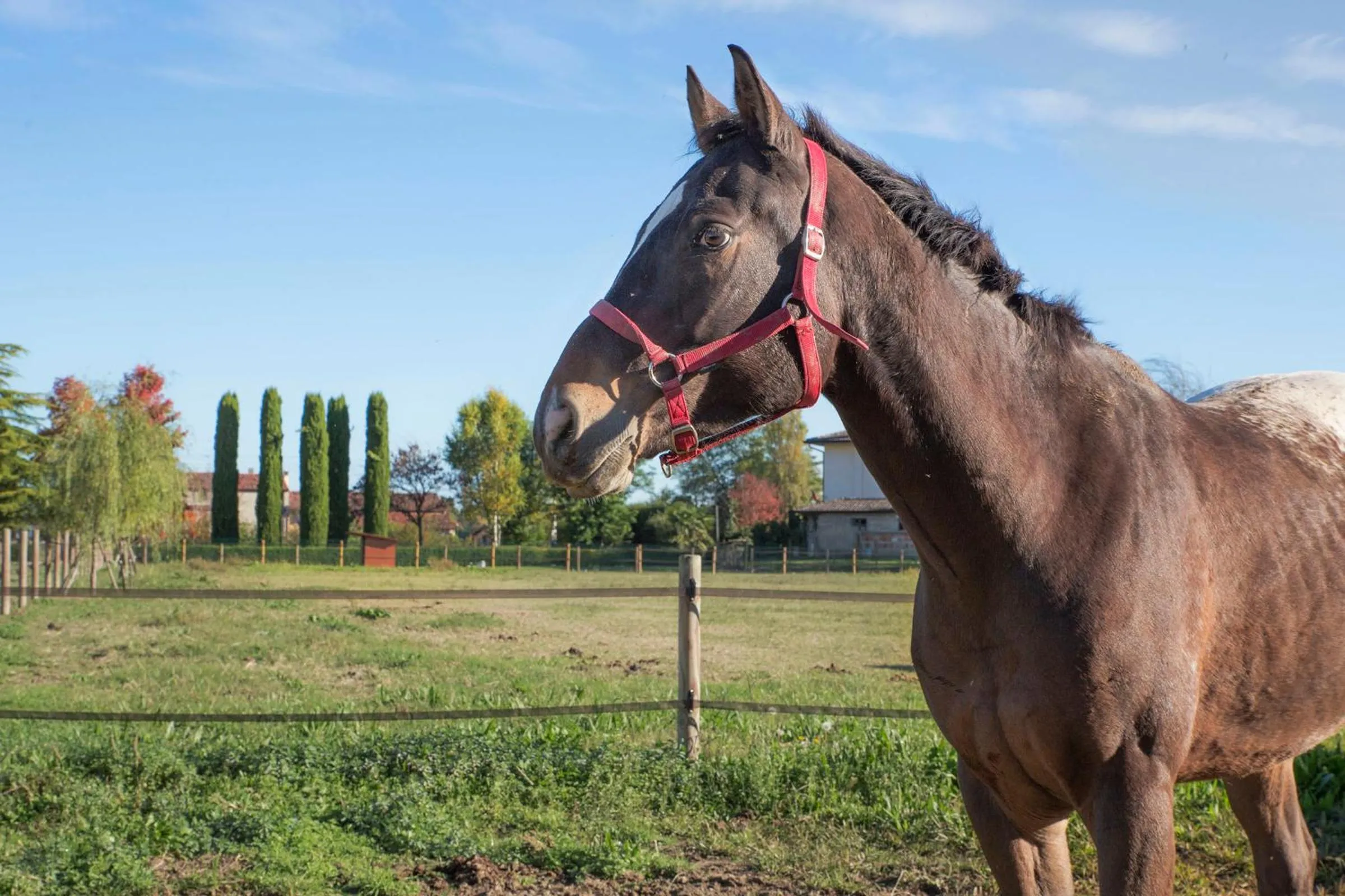 Property building in Ca' Ciaran