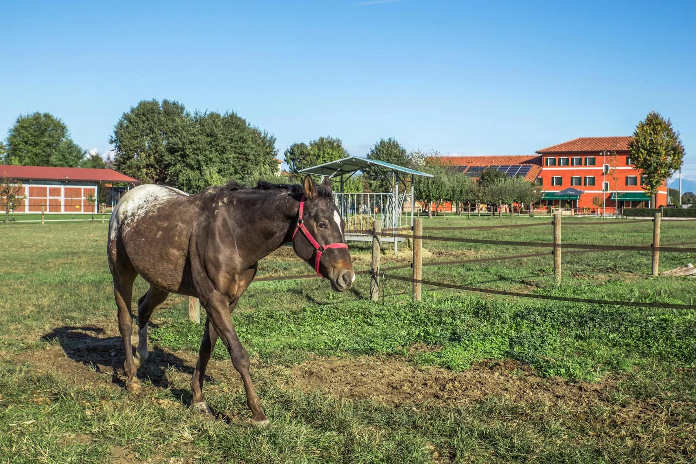 Property building in Ca' Ciaran