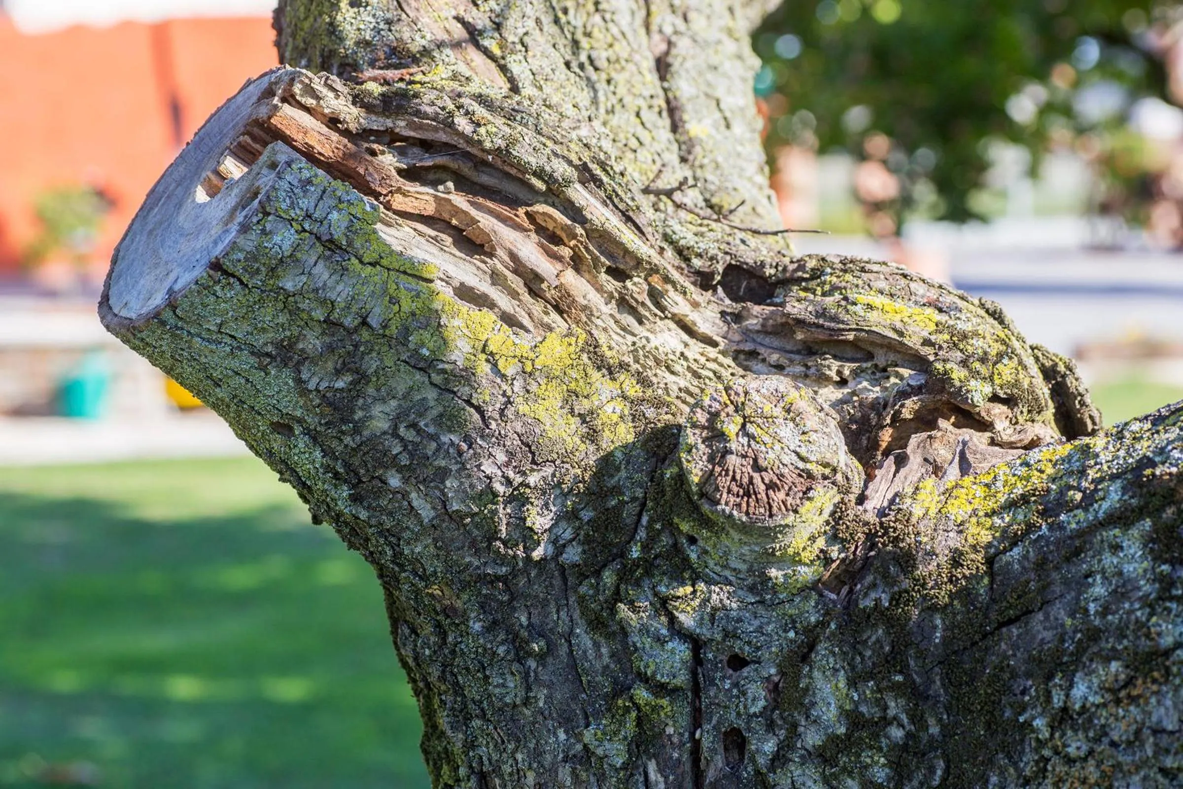 Property building in Ca' Ciaran