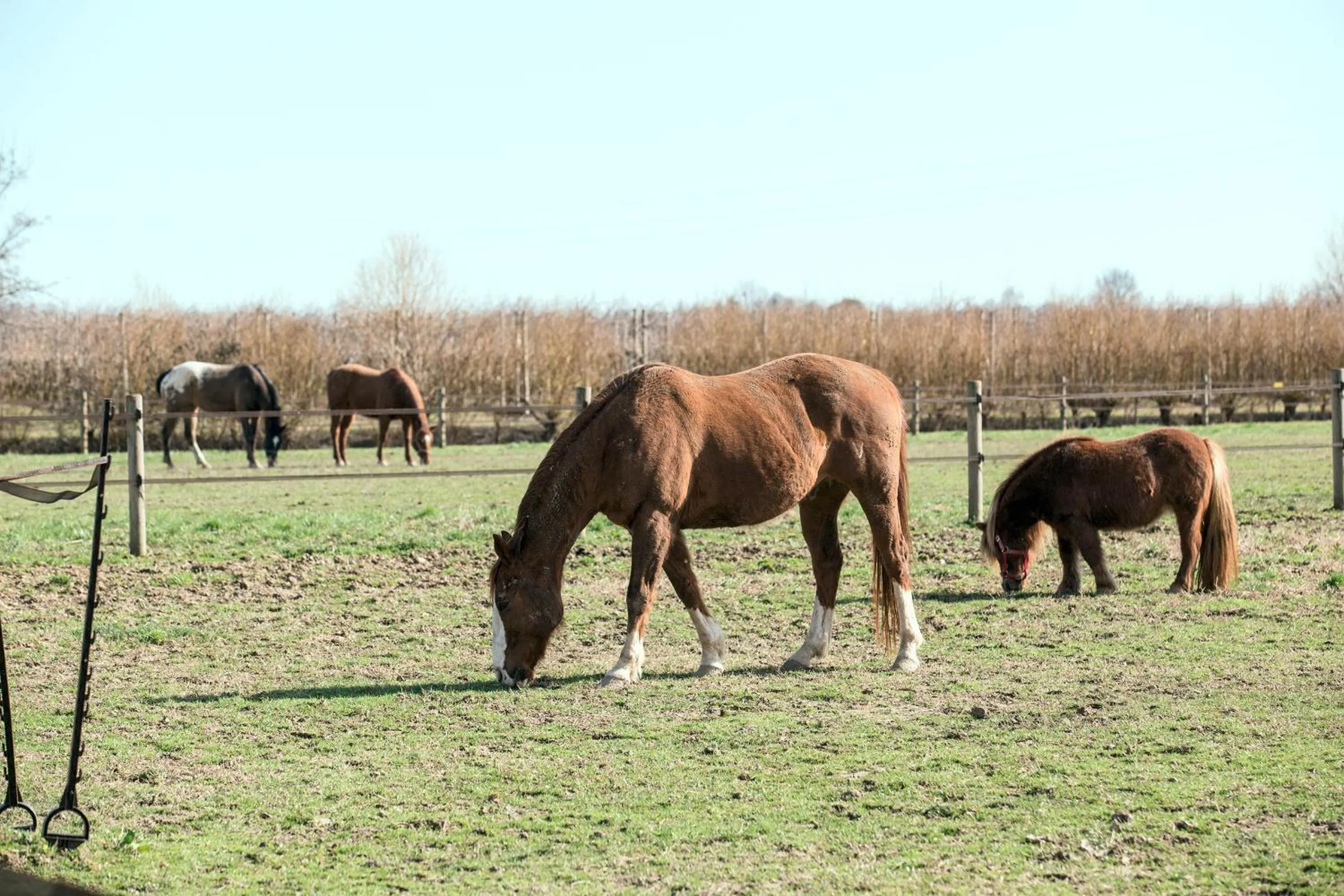 Property building in Ca' Ciaran