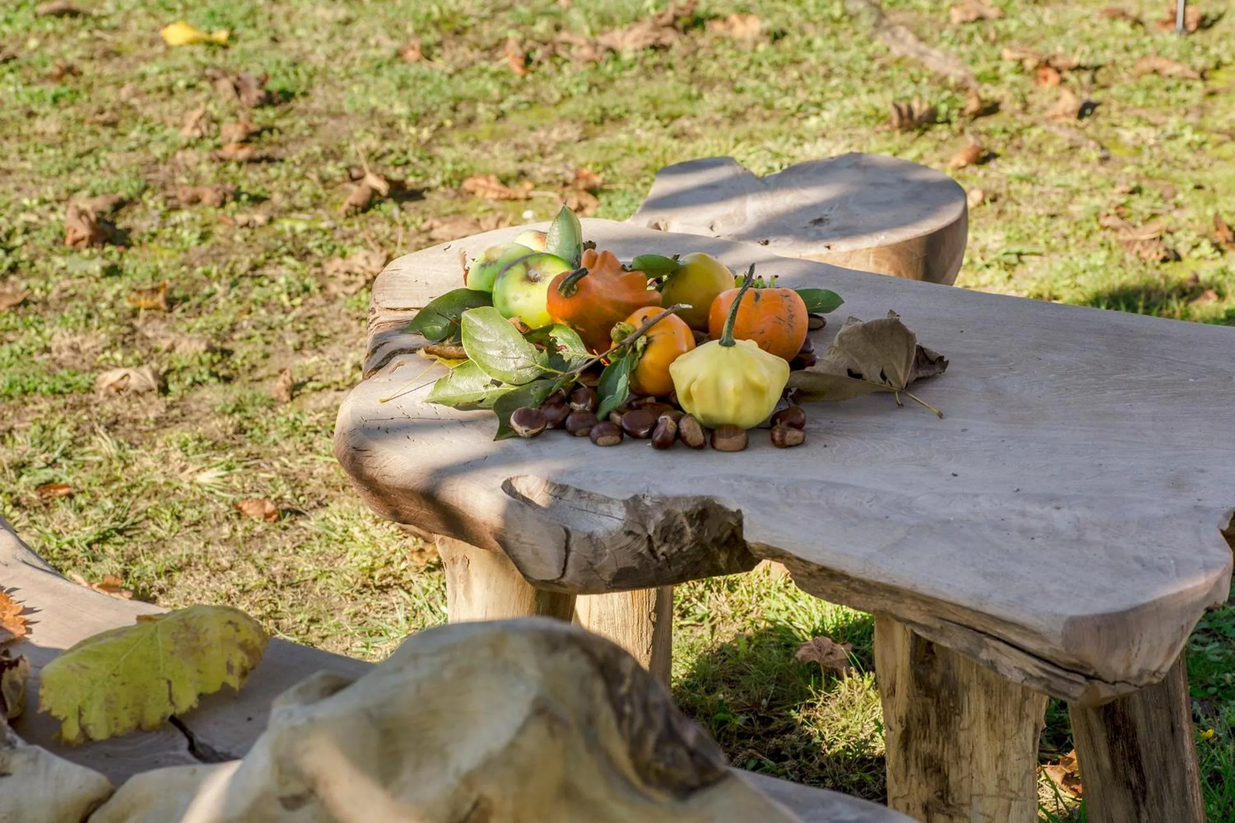 Property building in Ca' Ciaran