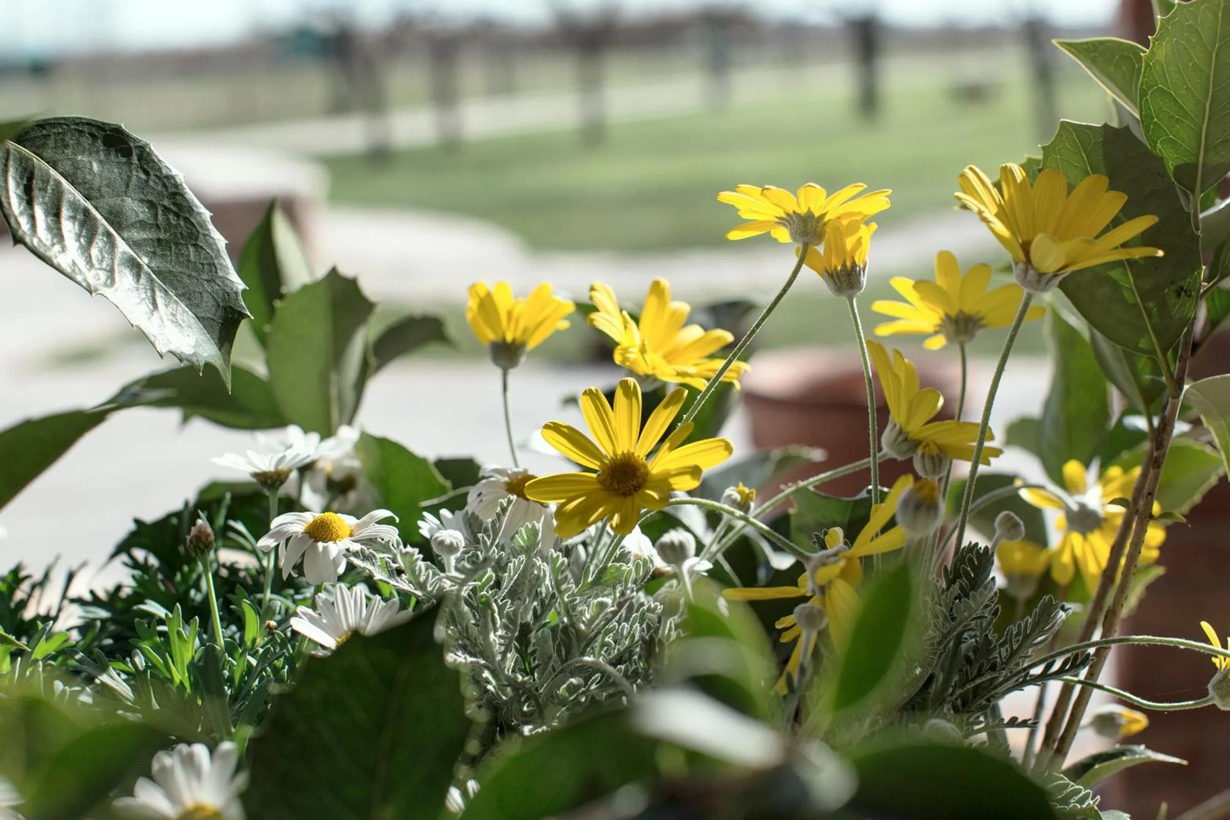 Property building in Ca' Ciaran