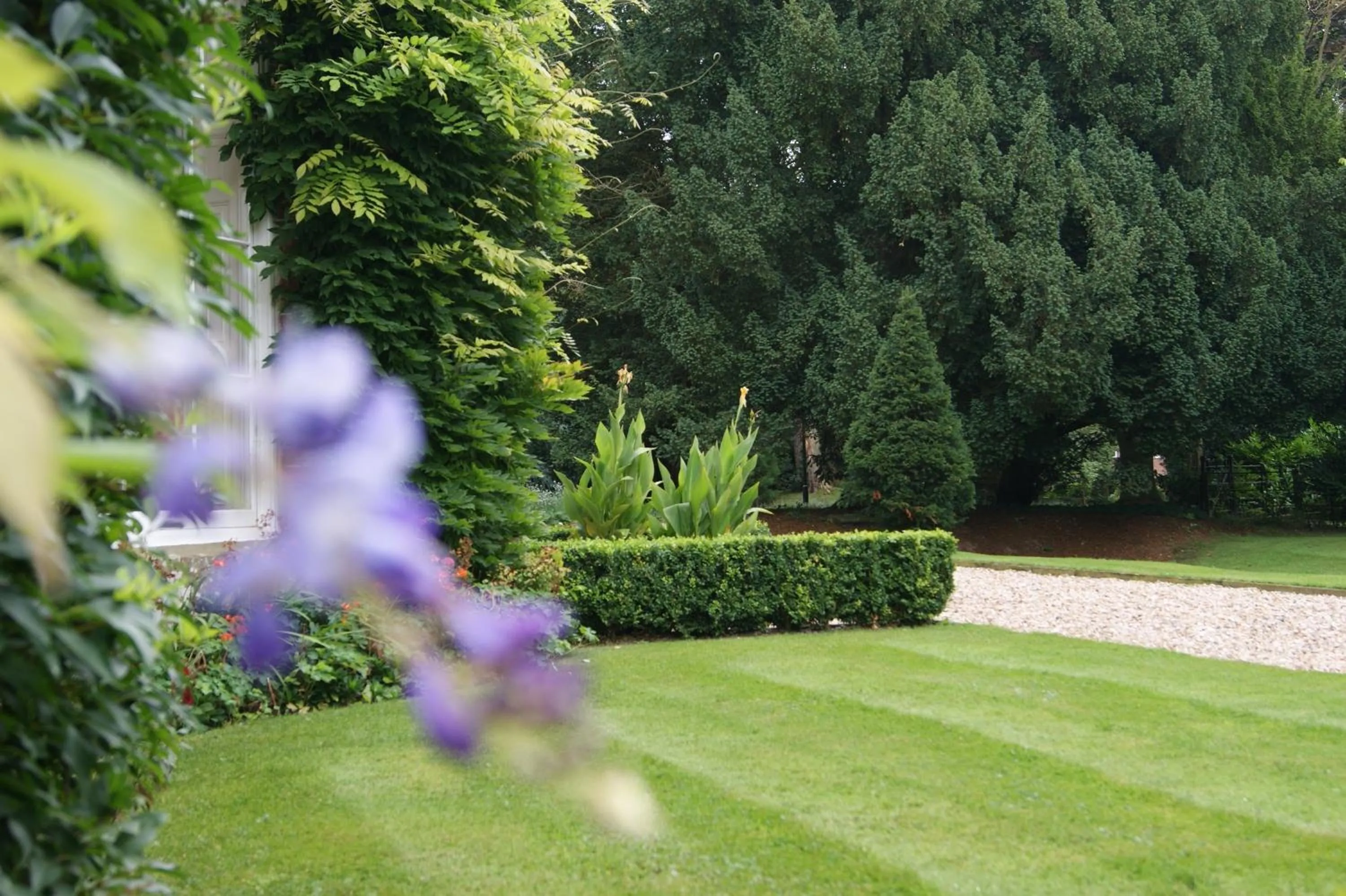 Garden in Old Rectory