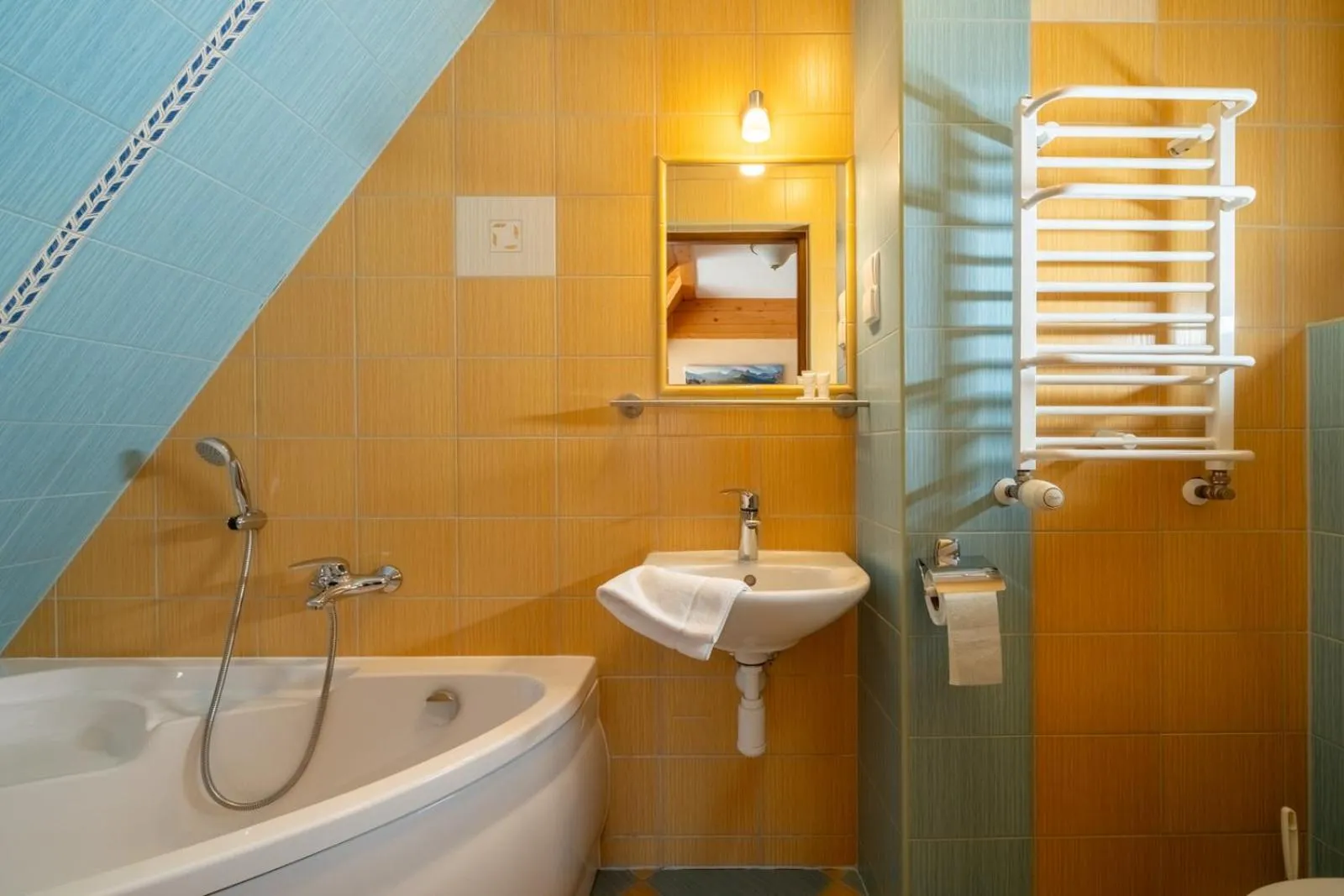 Shower in Willa u Anusia Jacuzzi & Sauna