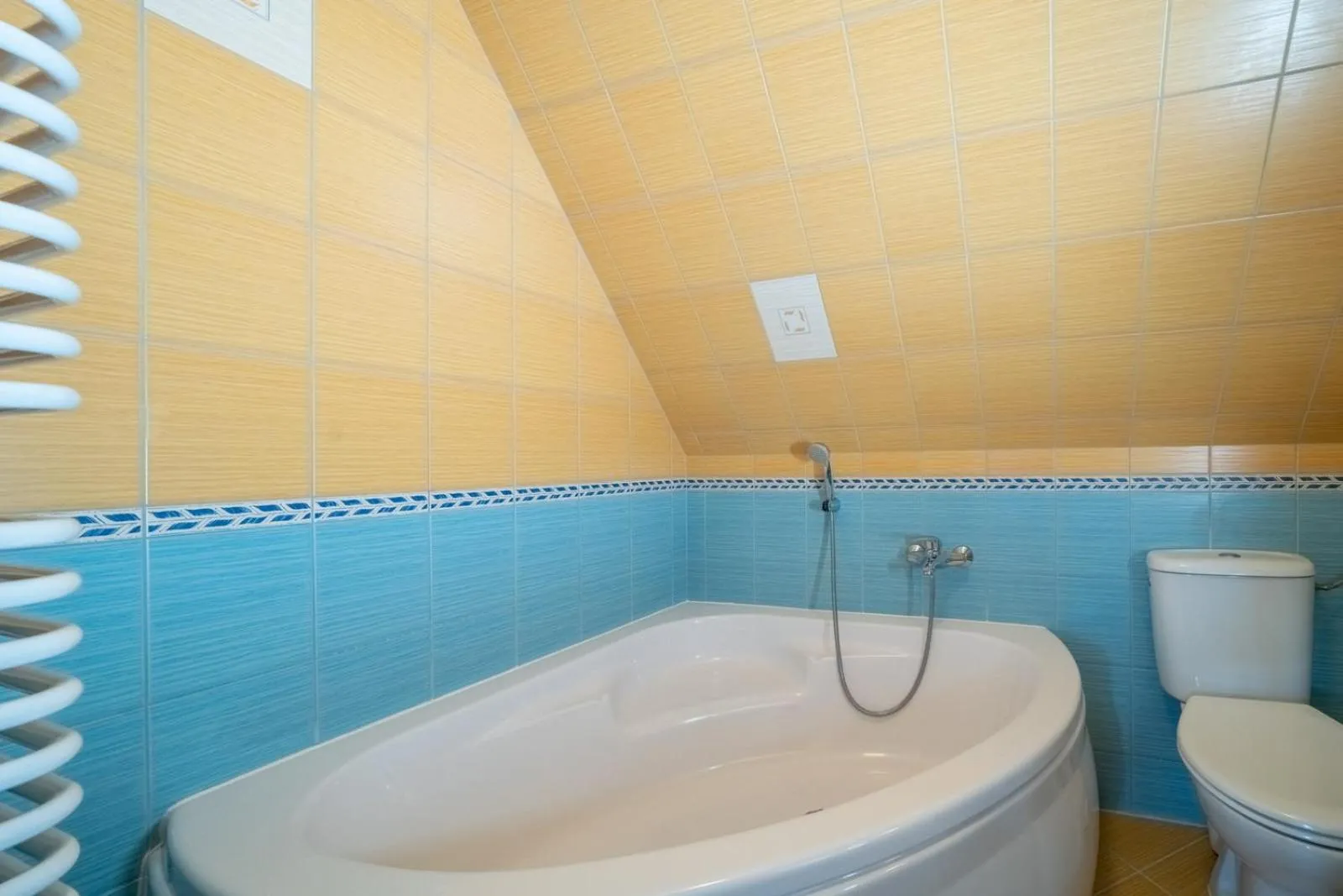 Toilet in Willa u Anusia Jacuzzi & Sauna