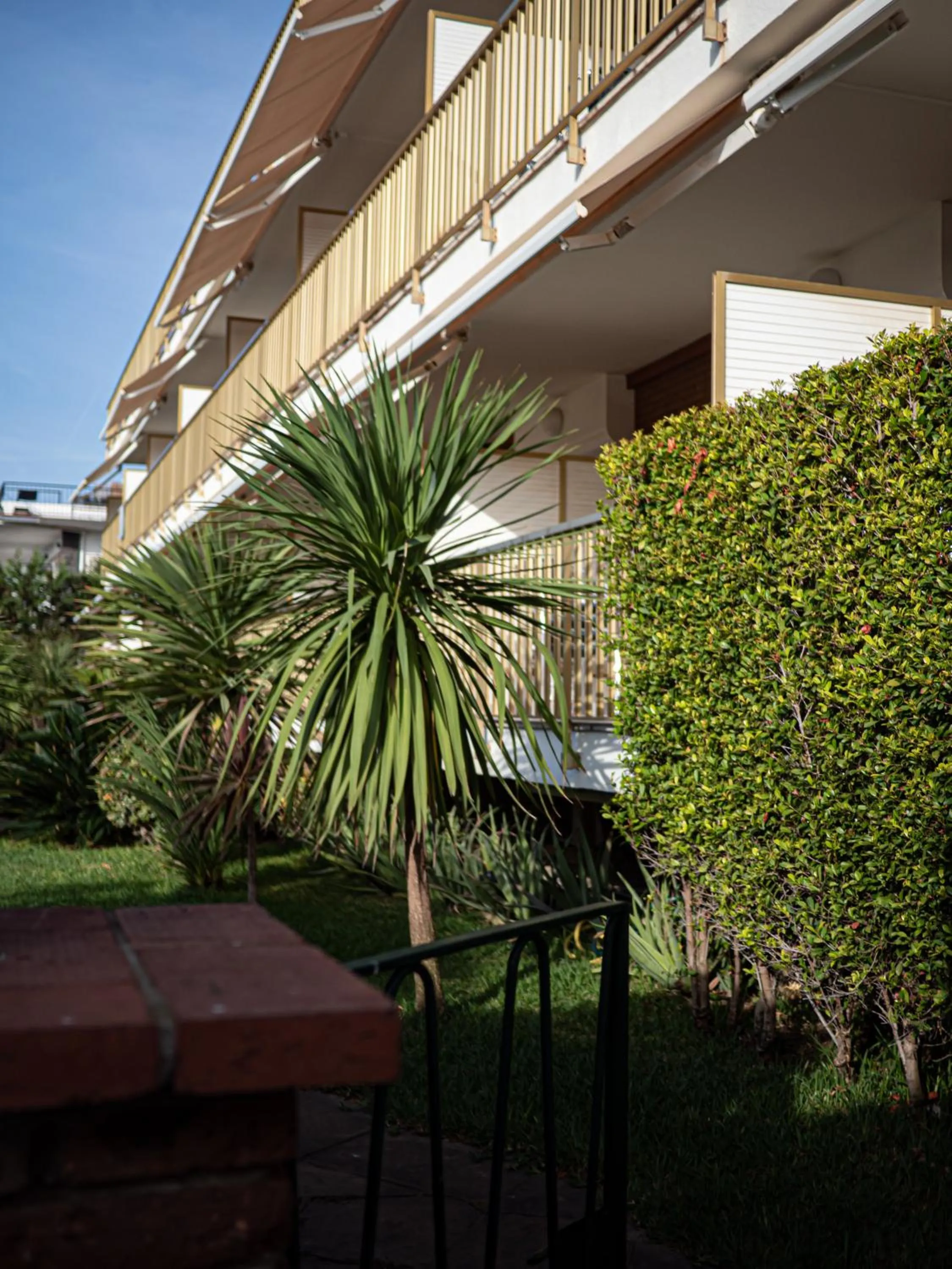 Garden in Aparthotel Solifemar