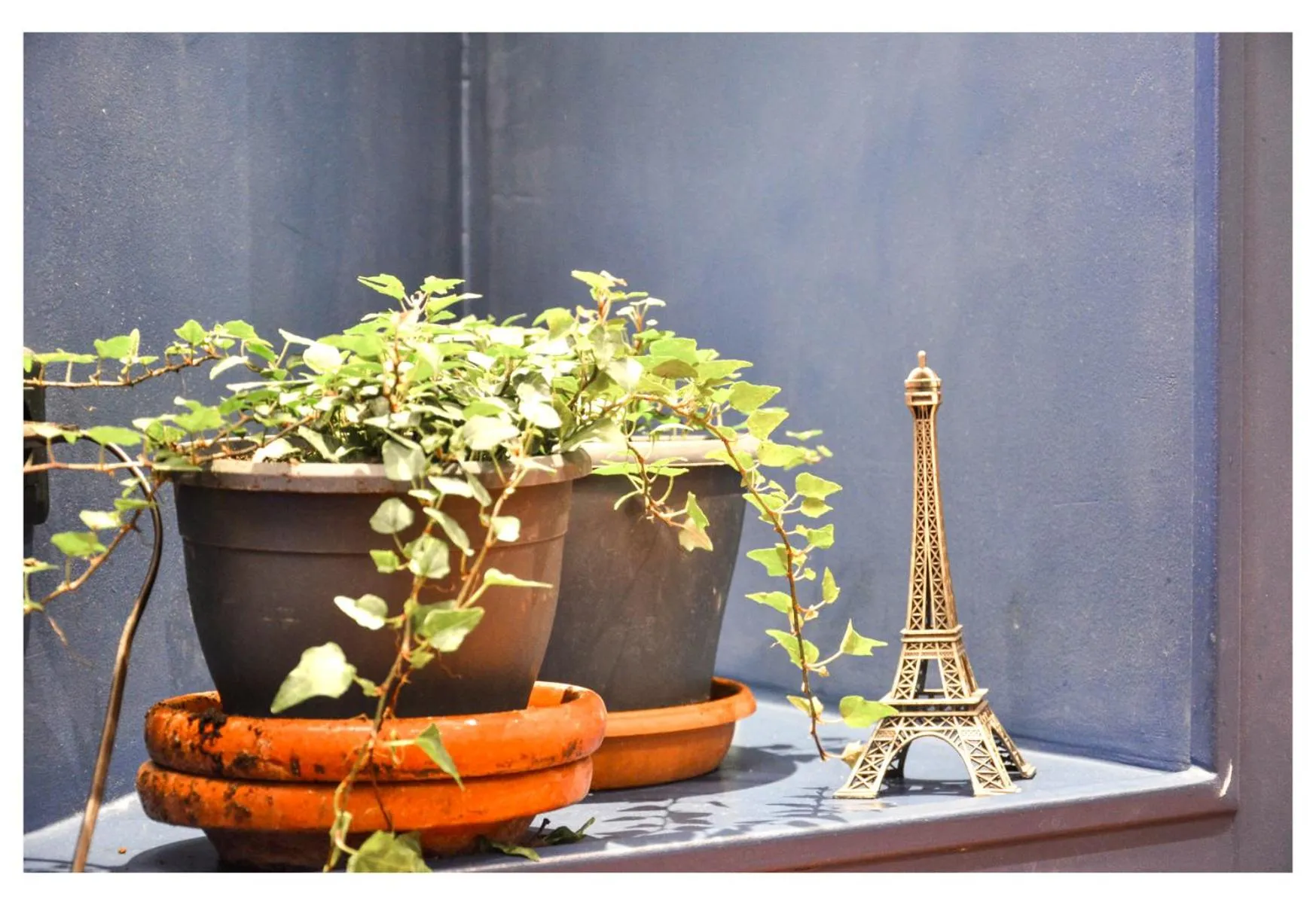 Banquet/Function facilities in Hôtel De La Perdrix Rouge