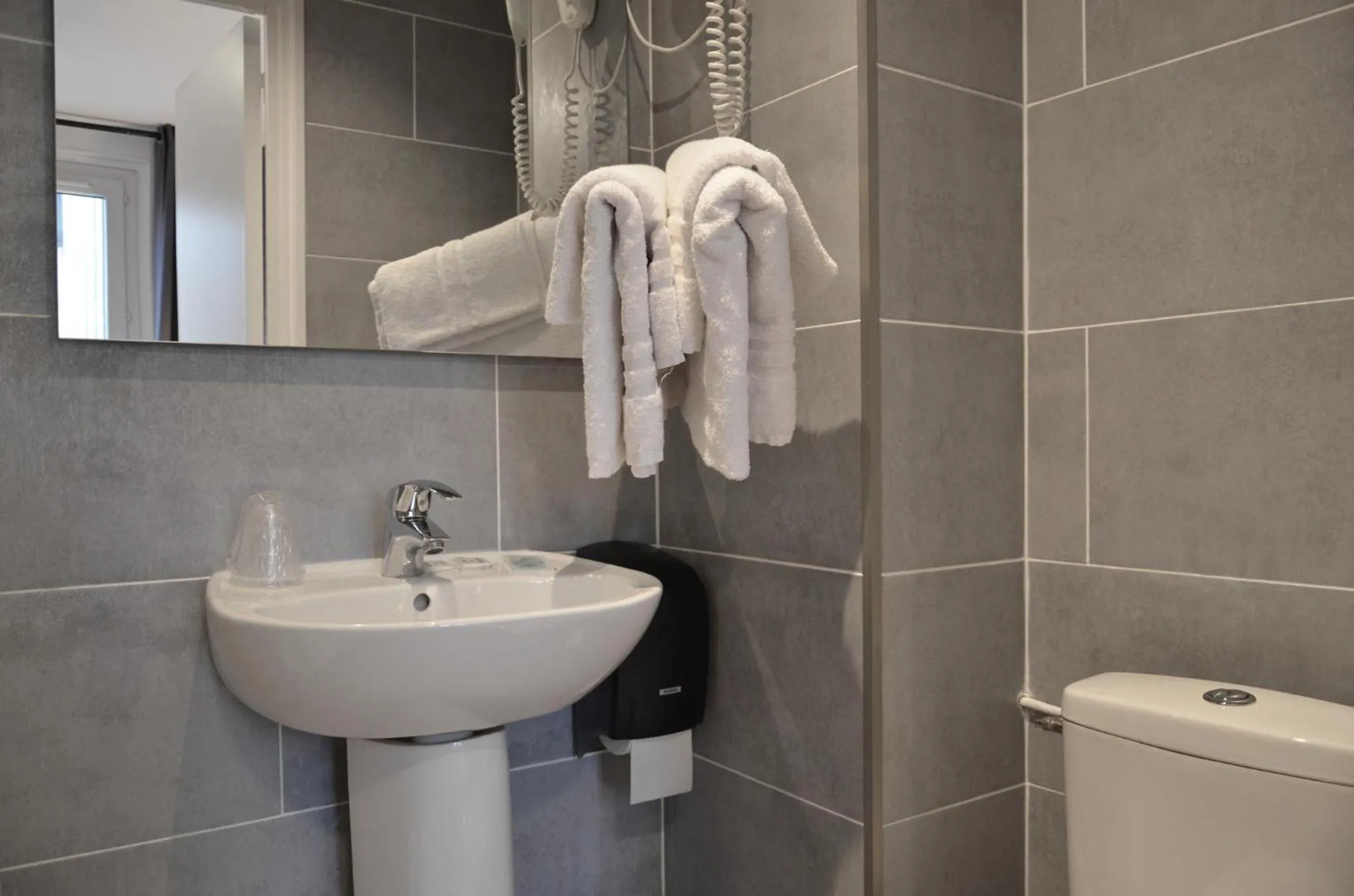 Toilet in Hôtel De La Perdrix Rouge