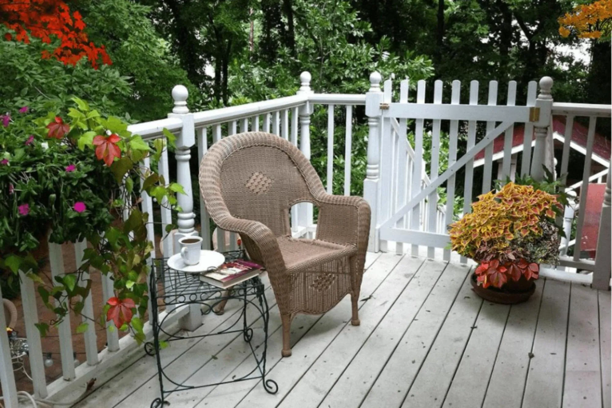 View (from property/room) in Rosemont B&B Cottages