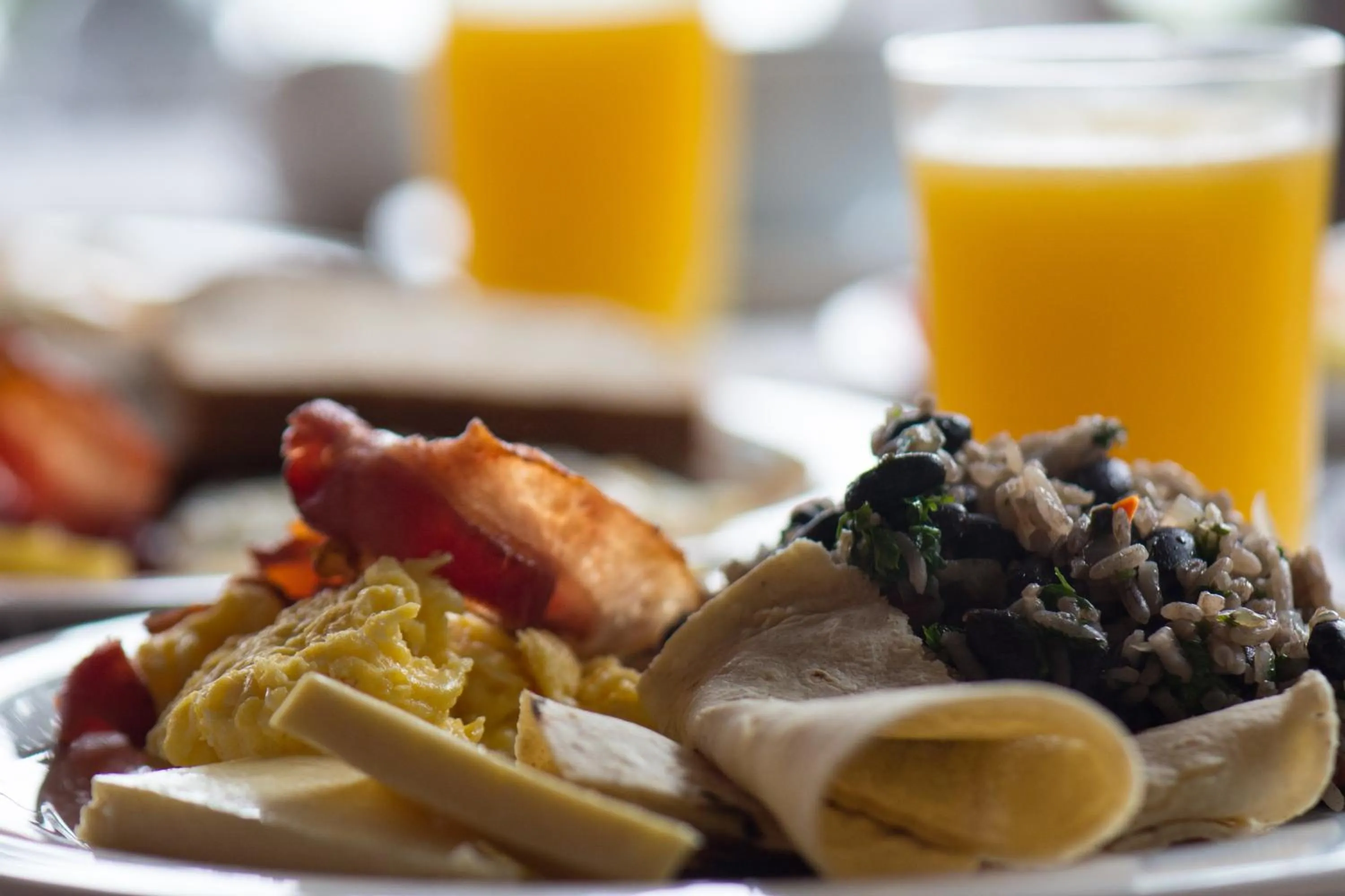 Food and drinks in Hotel Flor de Bromelia