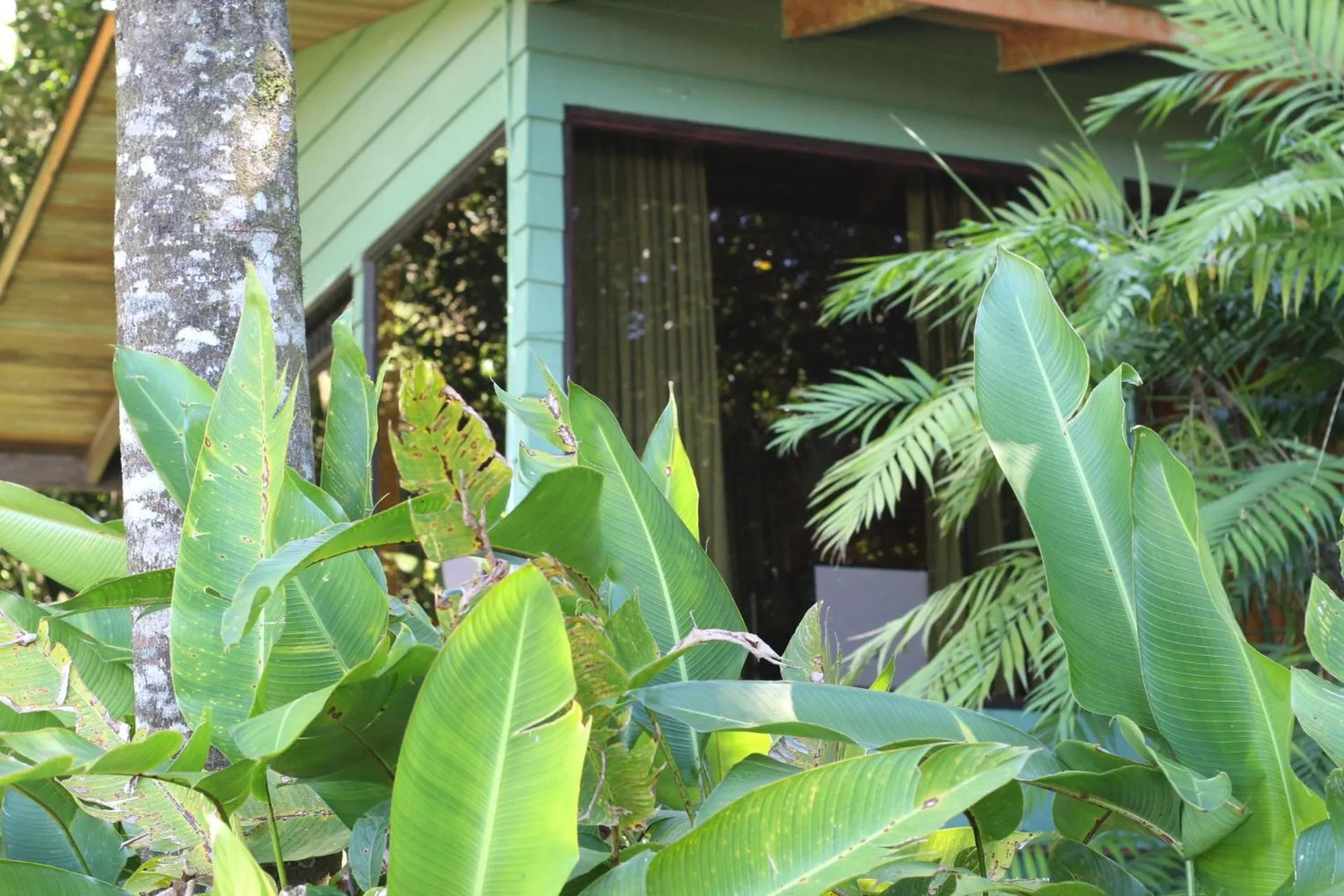 Facade/entrance in Hotel Flor de Bromelia