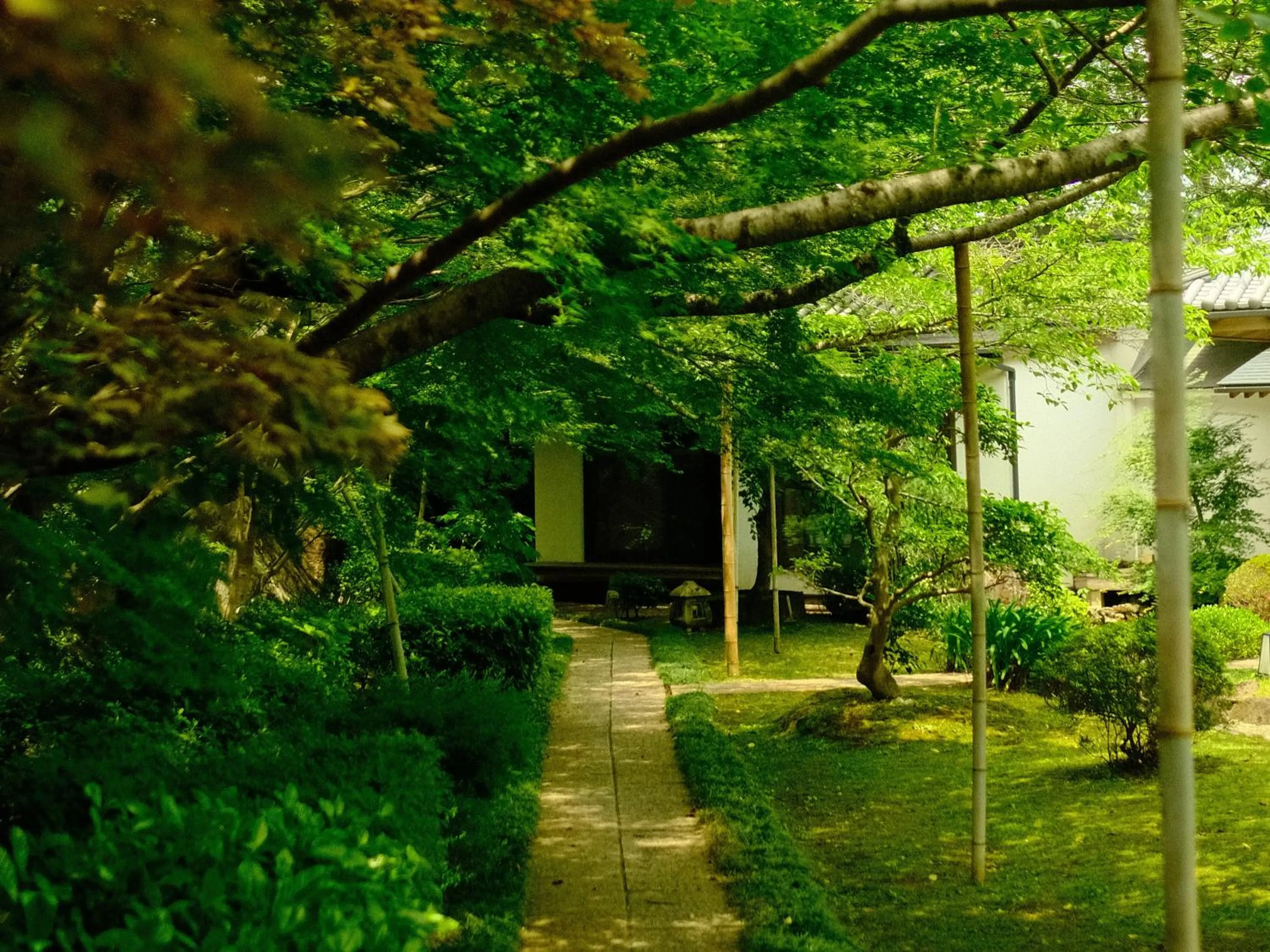 Natural landscape in Oukai Villa Izumi
