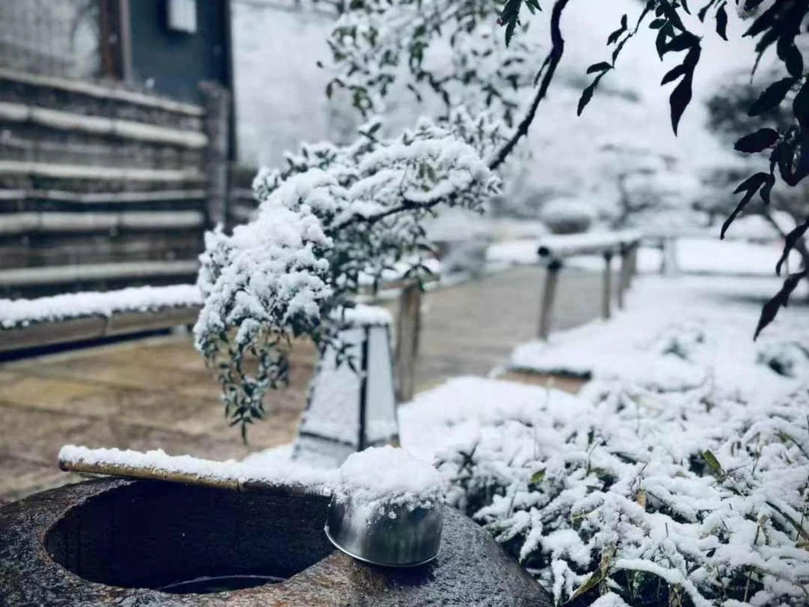 Garden view in Oukai Villa Izumi