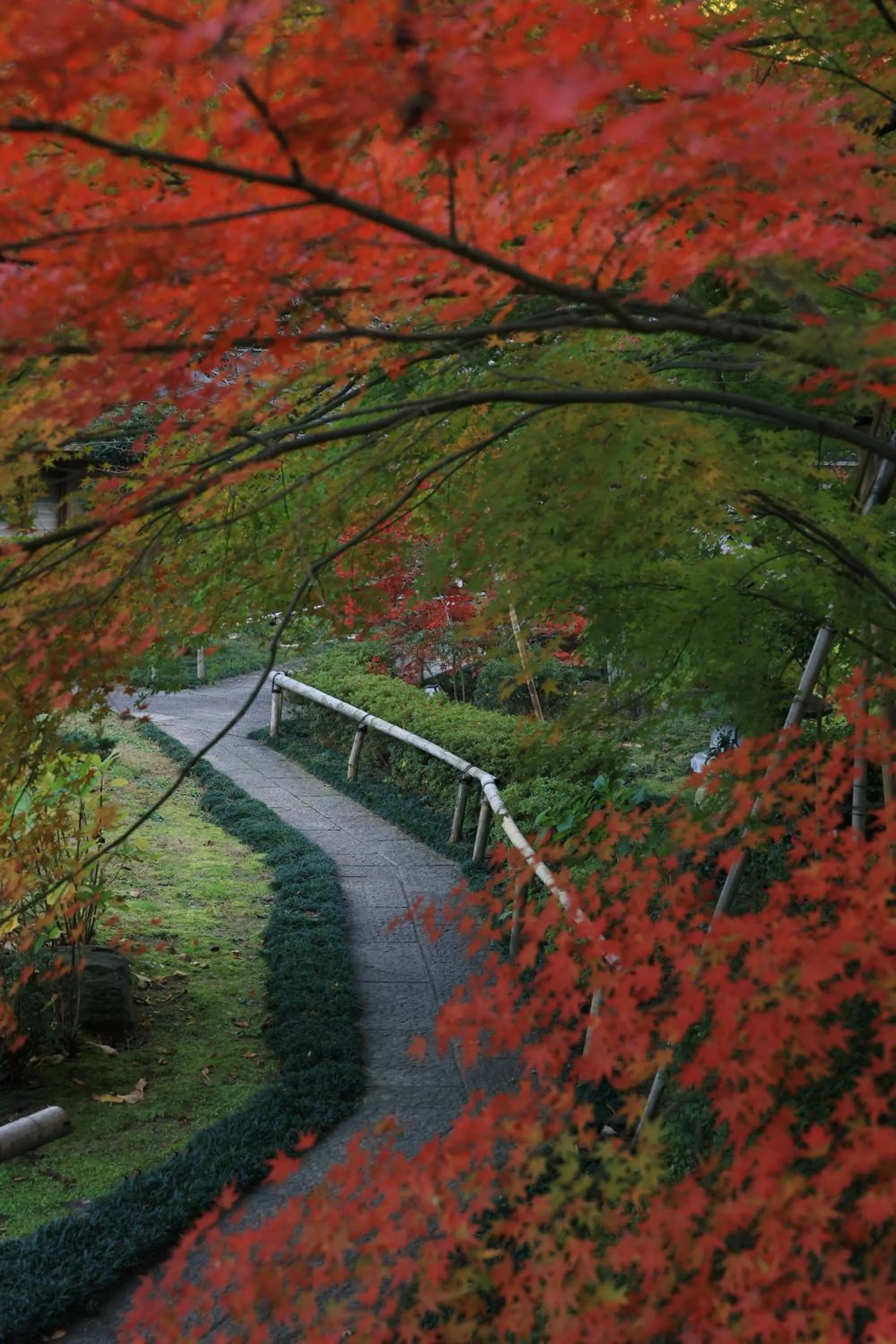 Garden in Oukai Villa Izumi