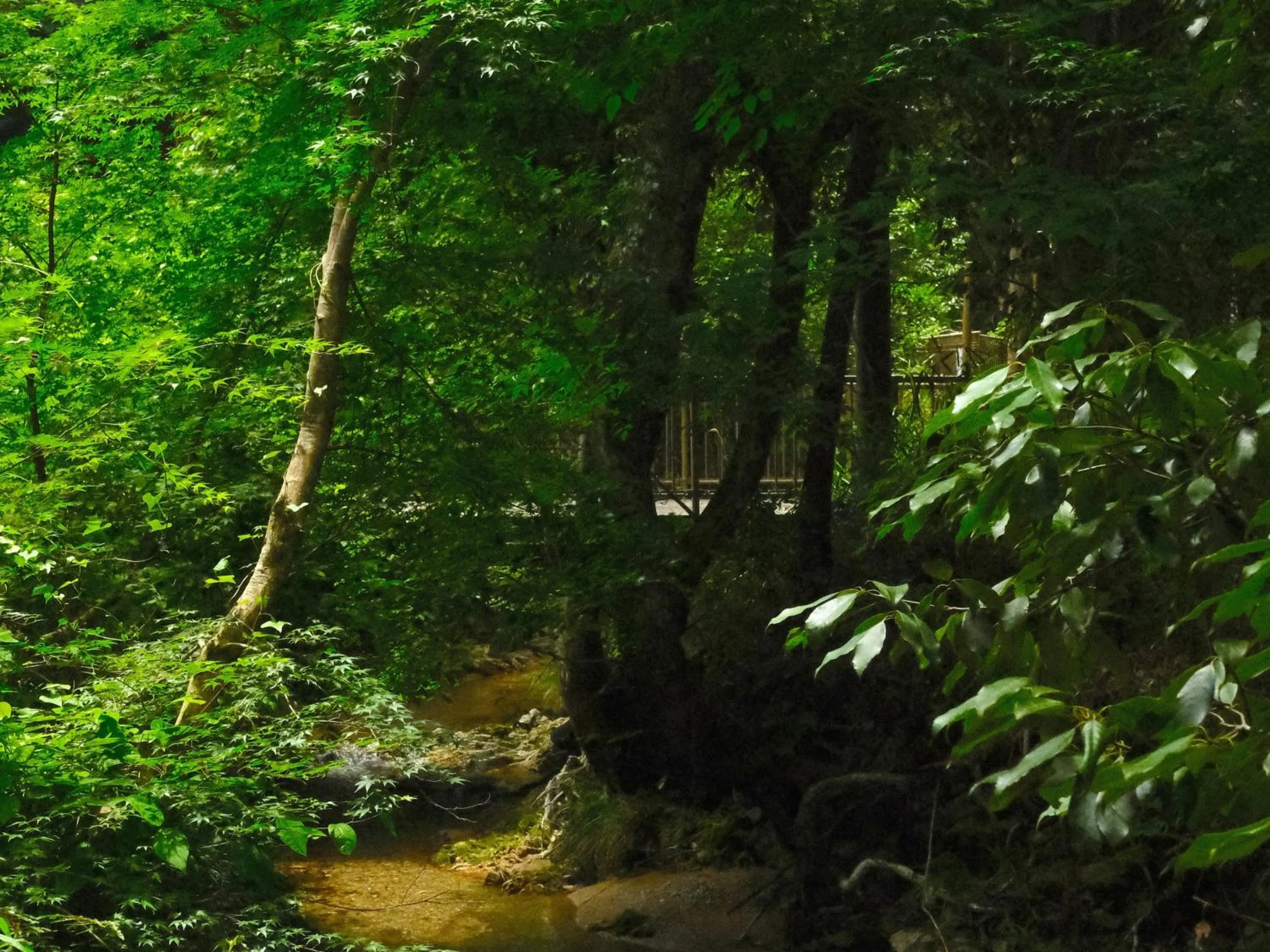 Day in Oukai Villa Izumi