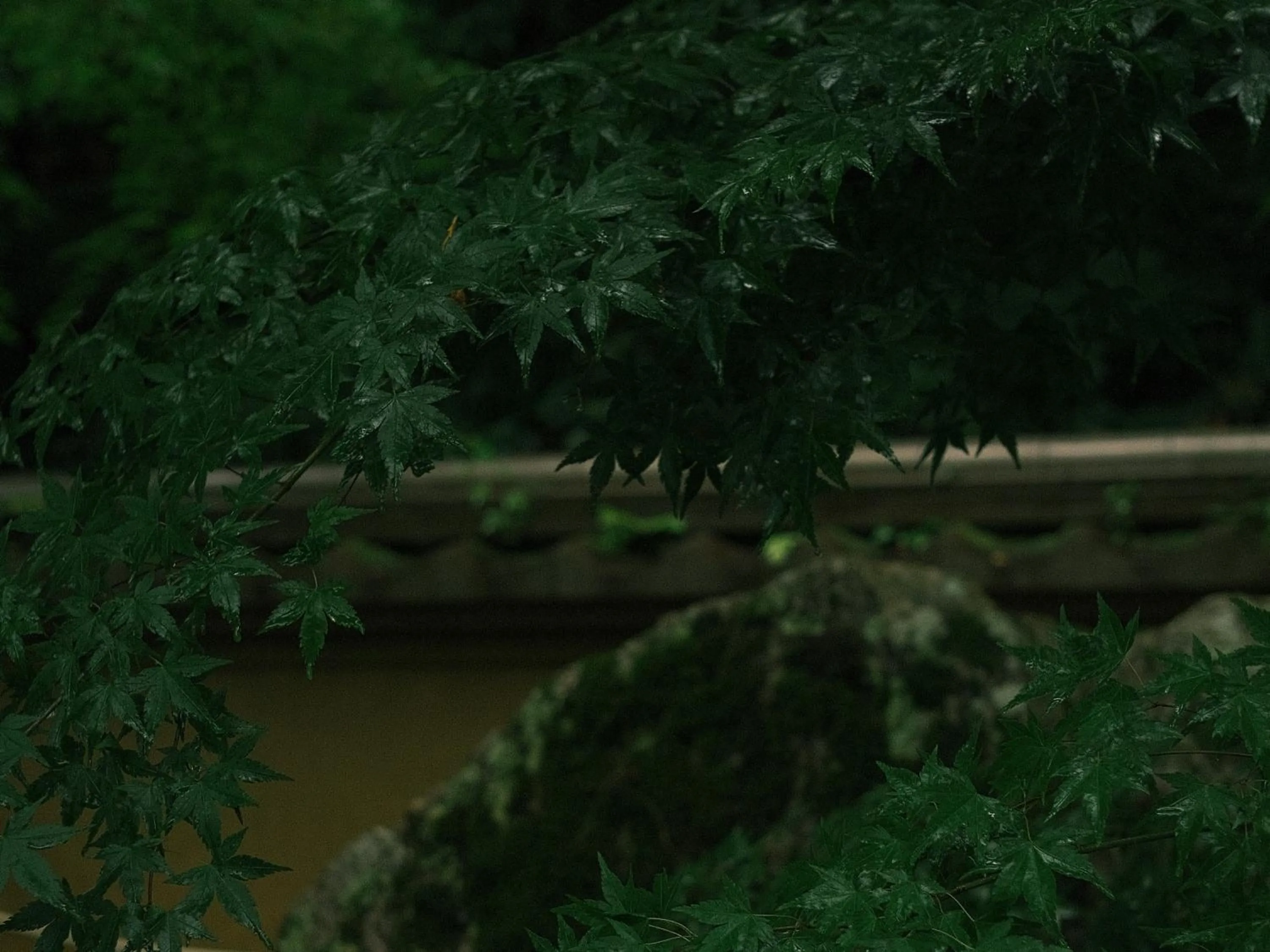 Natural landscape in Oukai Villa Izumi