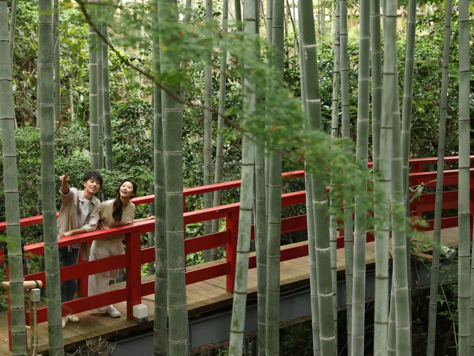 Natural landscape in Oukai Villa Izumi