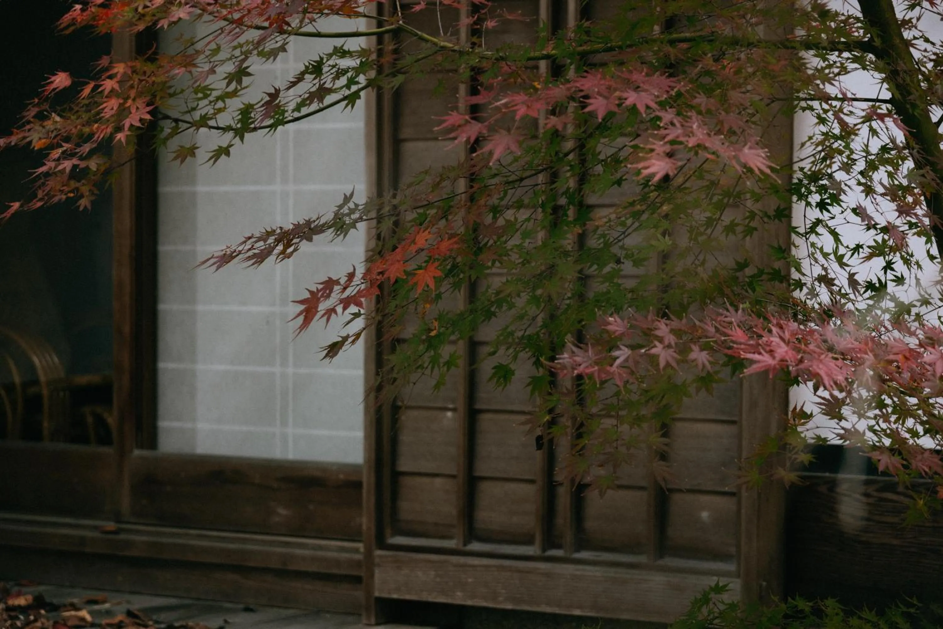 Garden in Oukai Villa Izumi