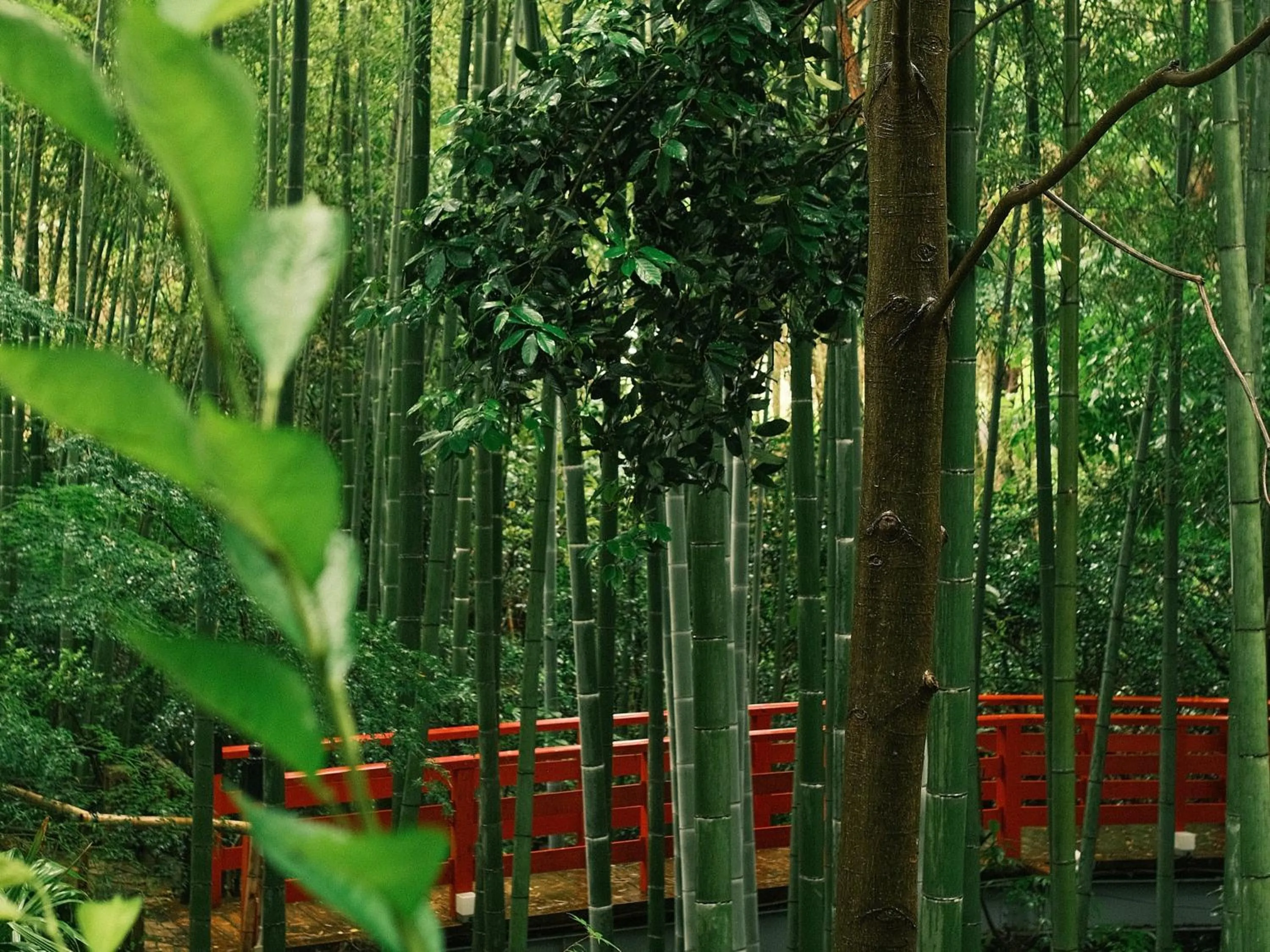 Natural landscape in Oukai Villa Izumi