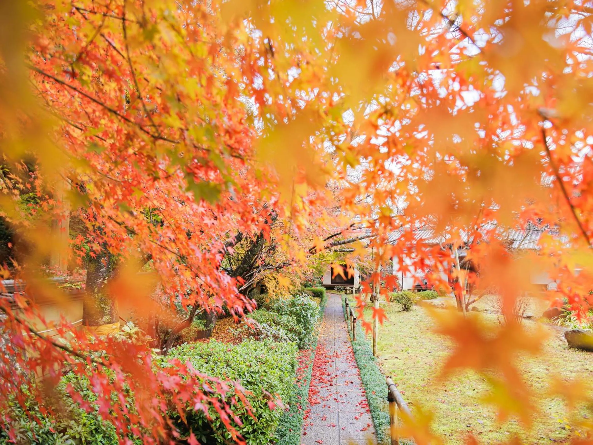 Garden view in Oukai Villa Izumi