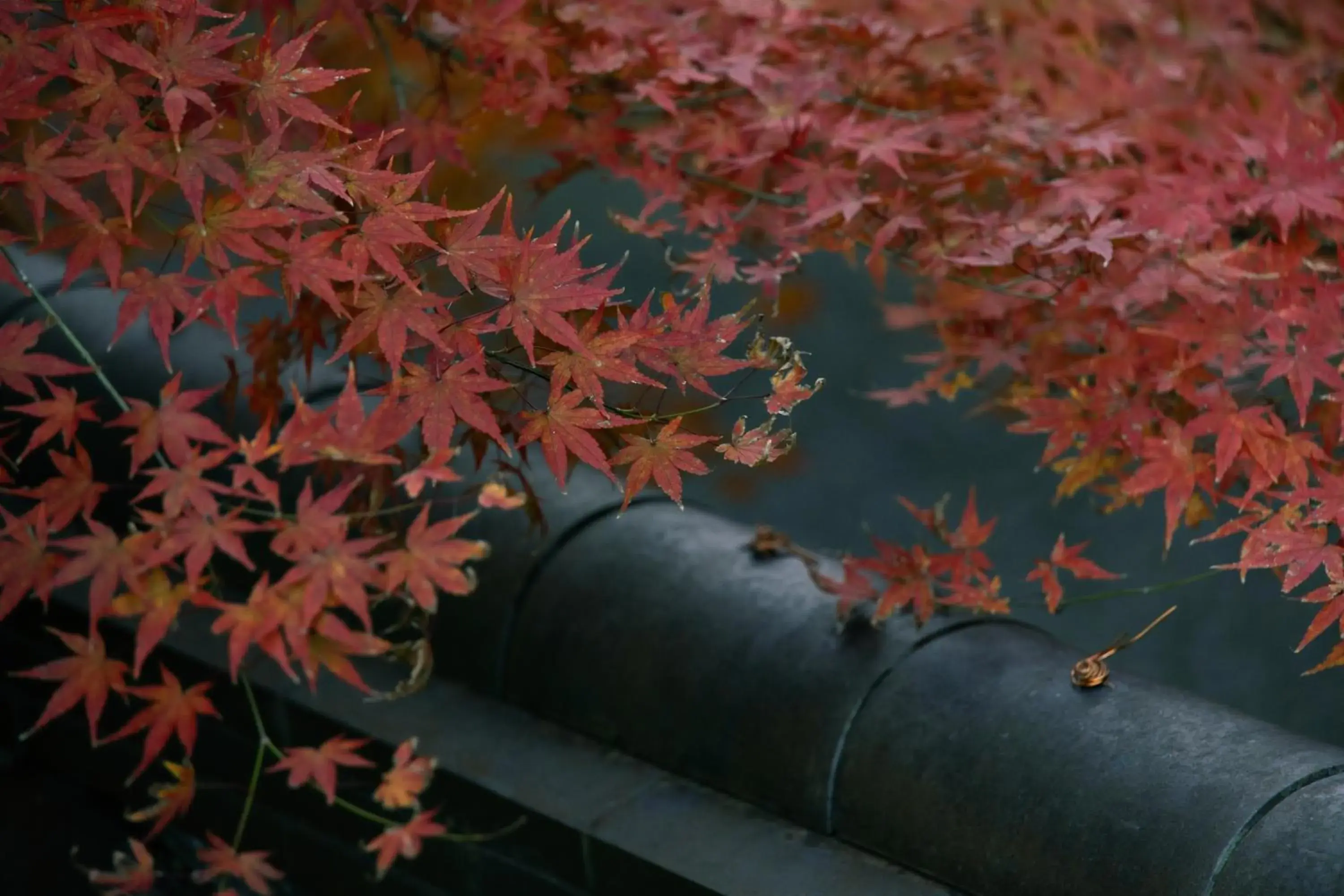 Garden view in Oukai Villa Izumi Garden view in Oukai Villa Izumi
