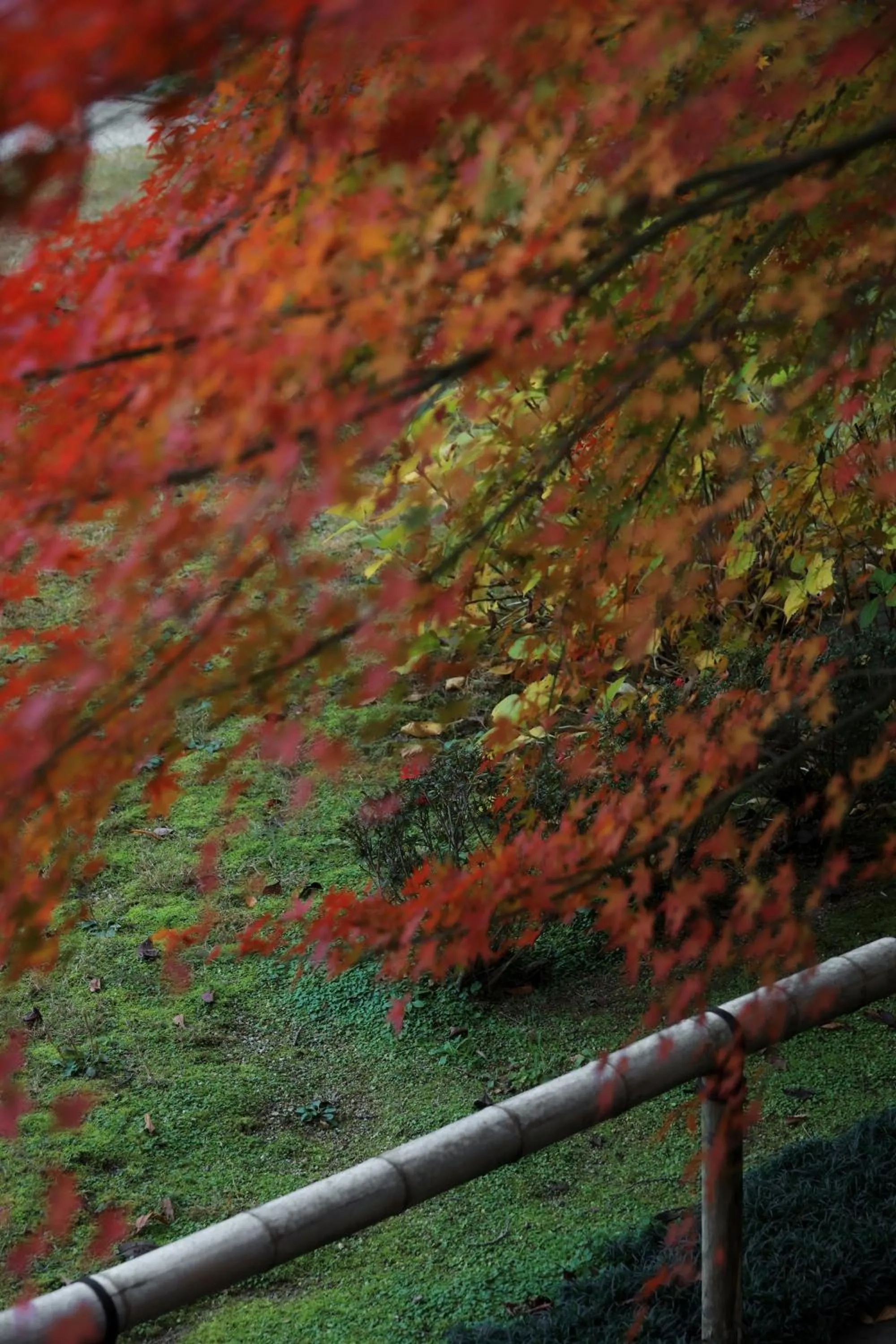 Garden in Oukai Villa Izumi