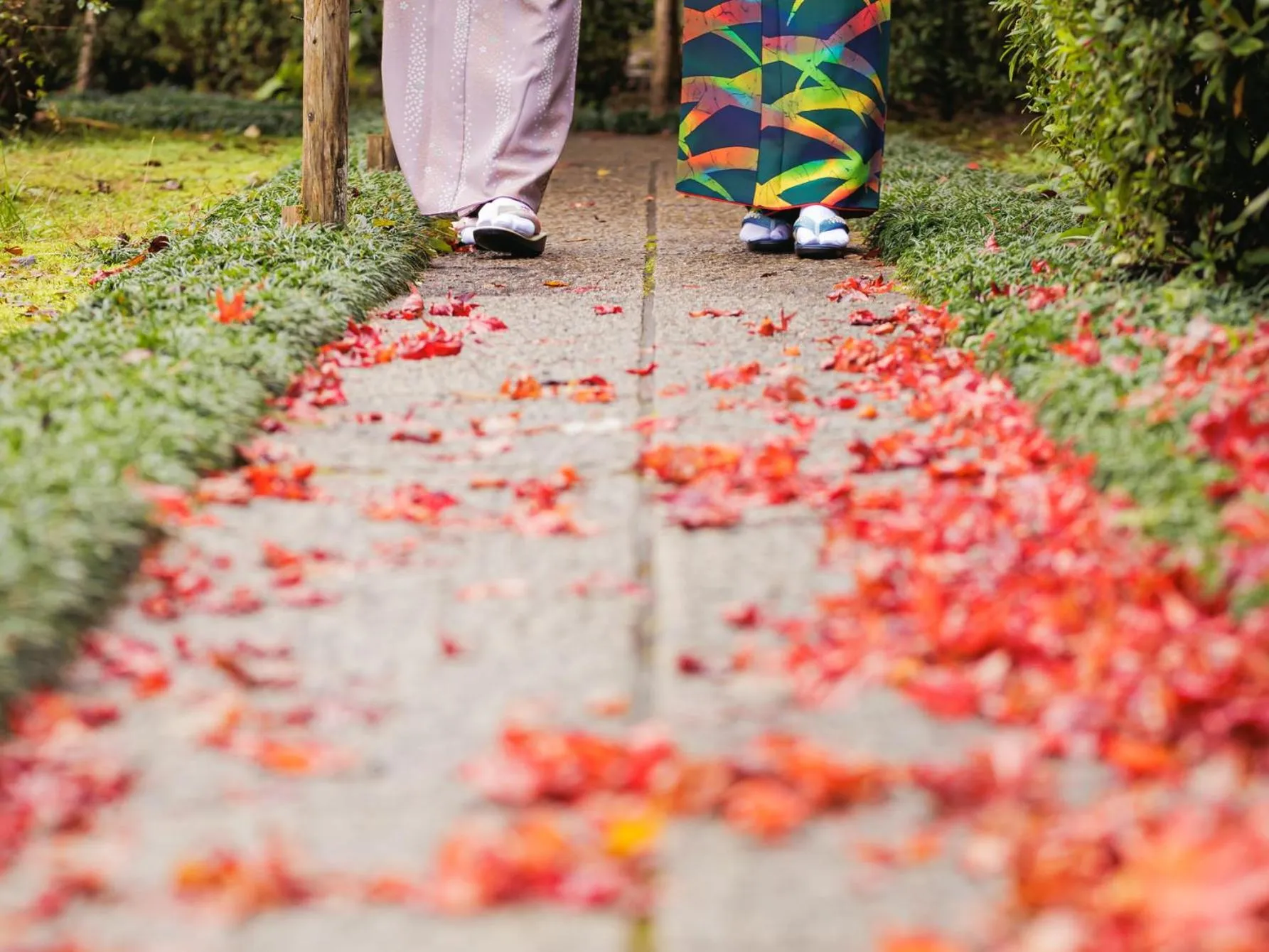 Garden view in Oukai Villa Izumi