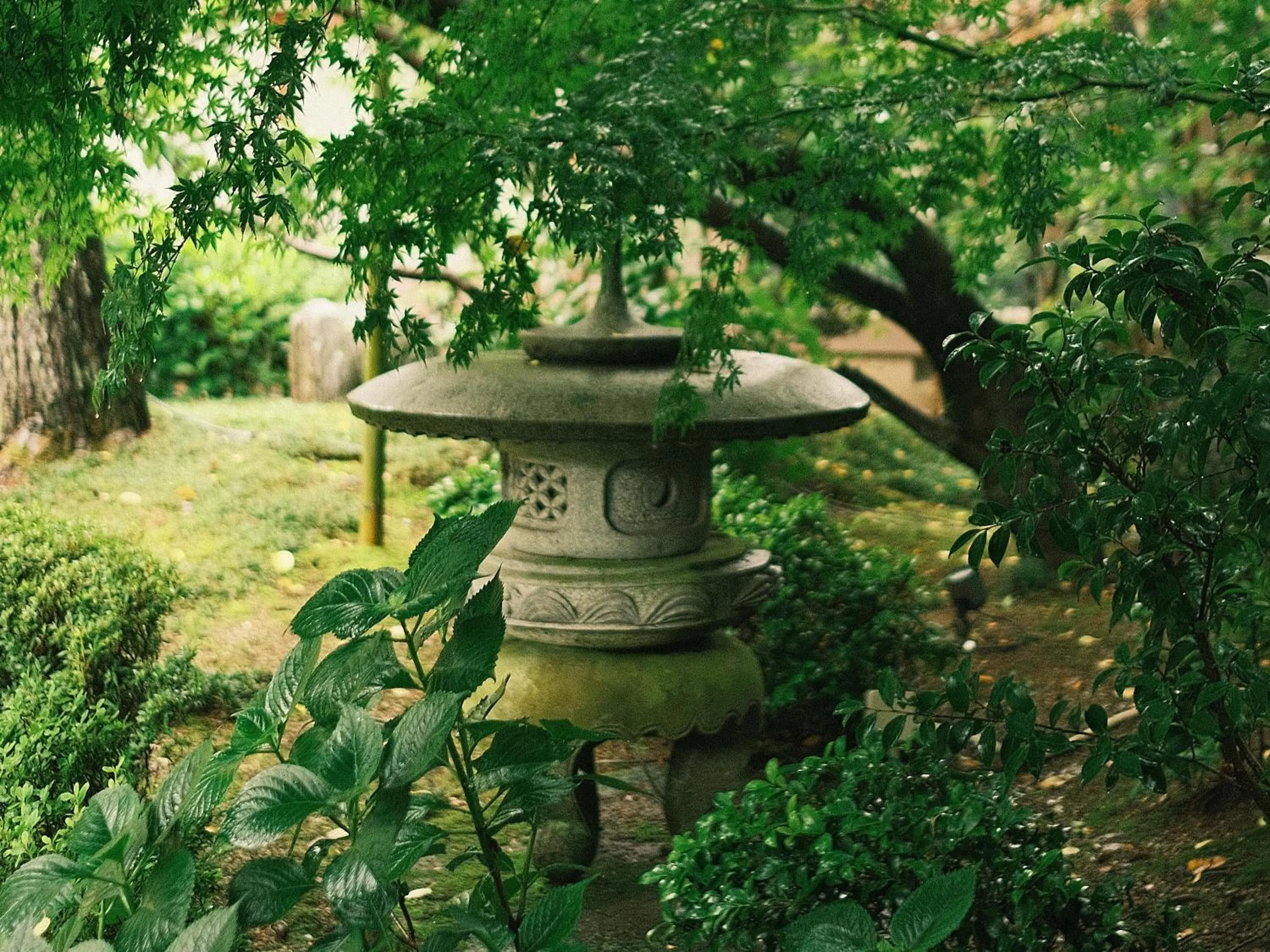 Garden in Oukai Villa Izumi