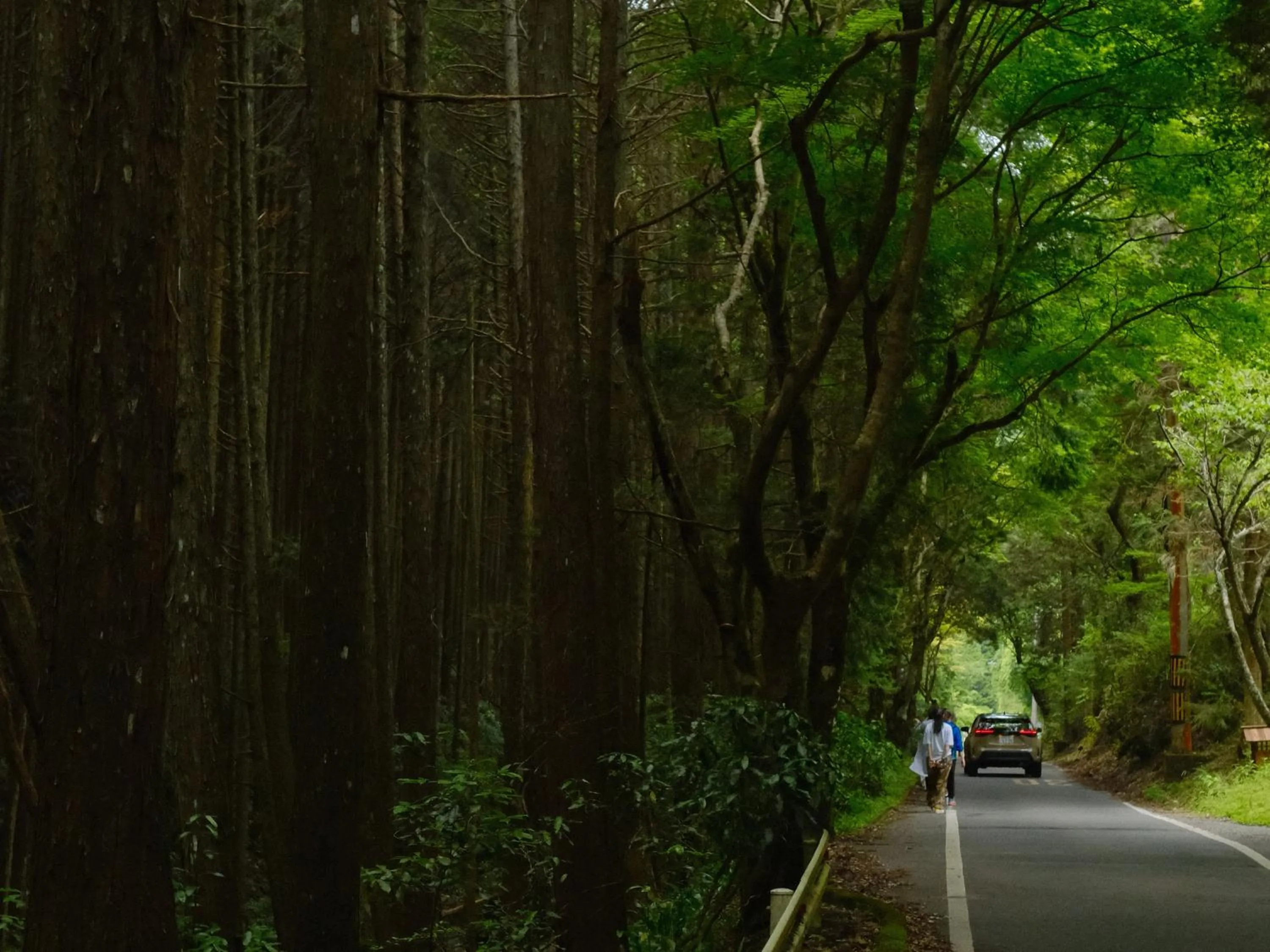 Natural landscape in Oukai Villa Izumi