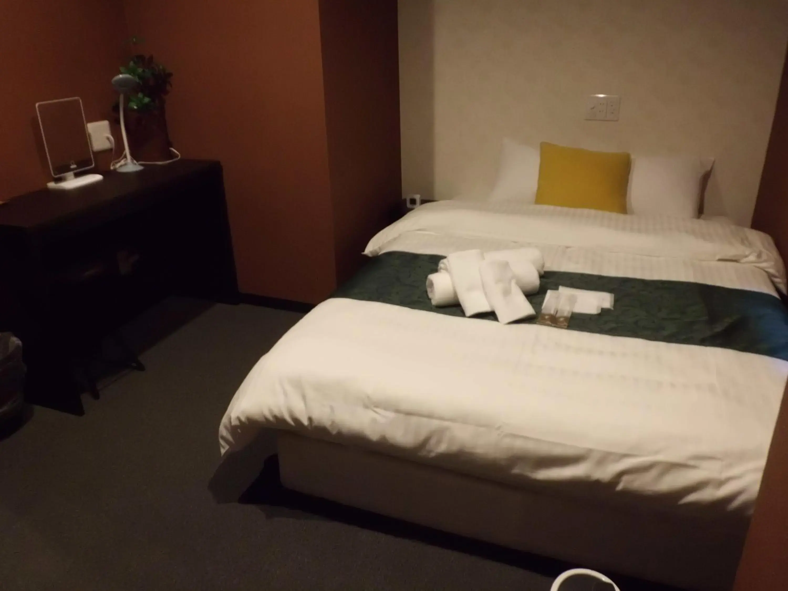 Standard Double Room with Shared Bathroom - single occupancy in Sumiya Spa & Hotel Standard Double Room with Shared Bathroom - single occupancy in Sumiya Spa & Hotel