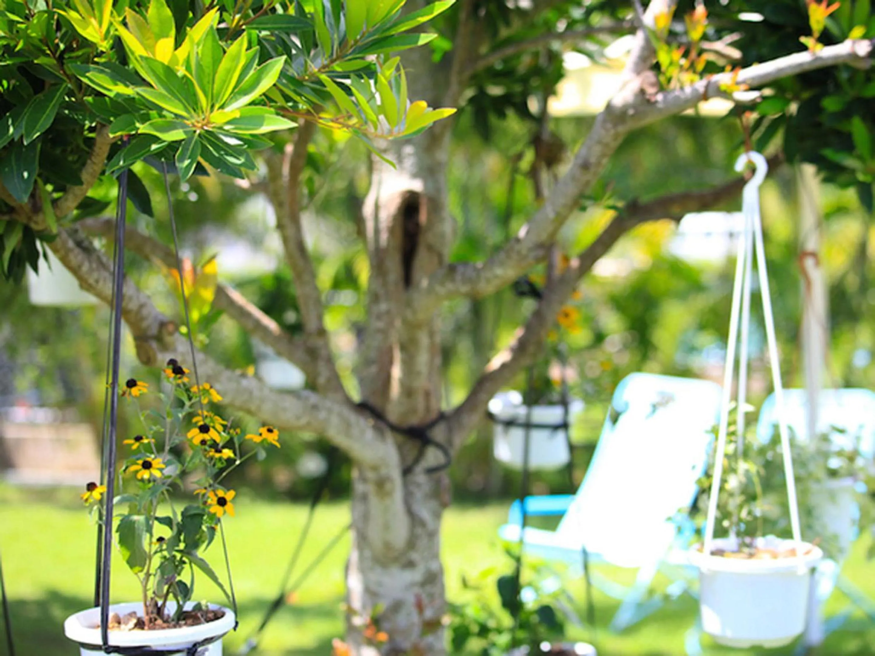 Garden in Sun Green Resort Hotel Ishigaki