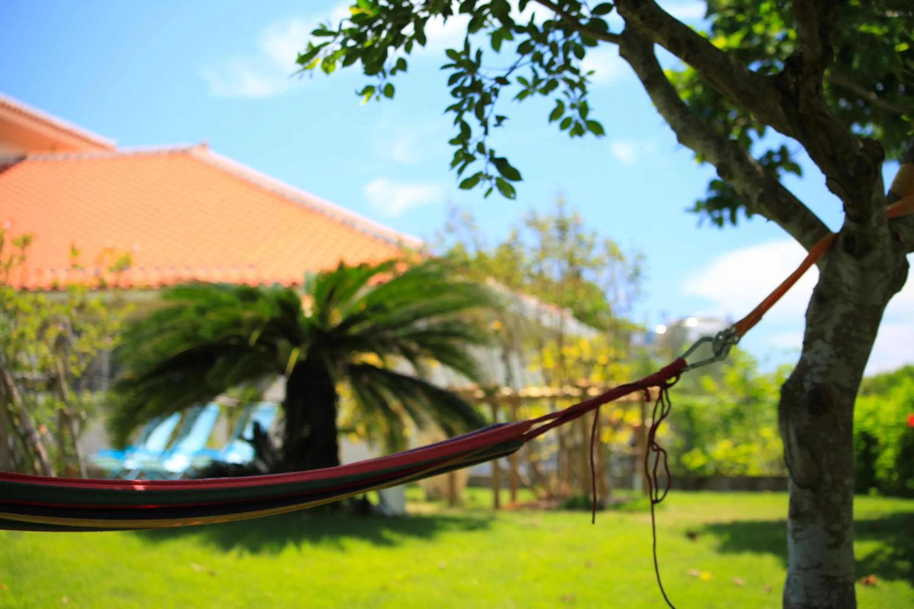 Garden in Sun Green Resort Hotel Ishigaki