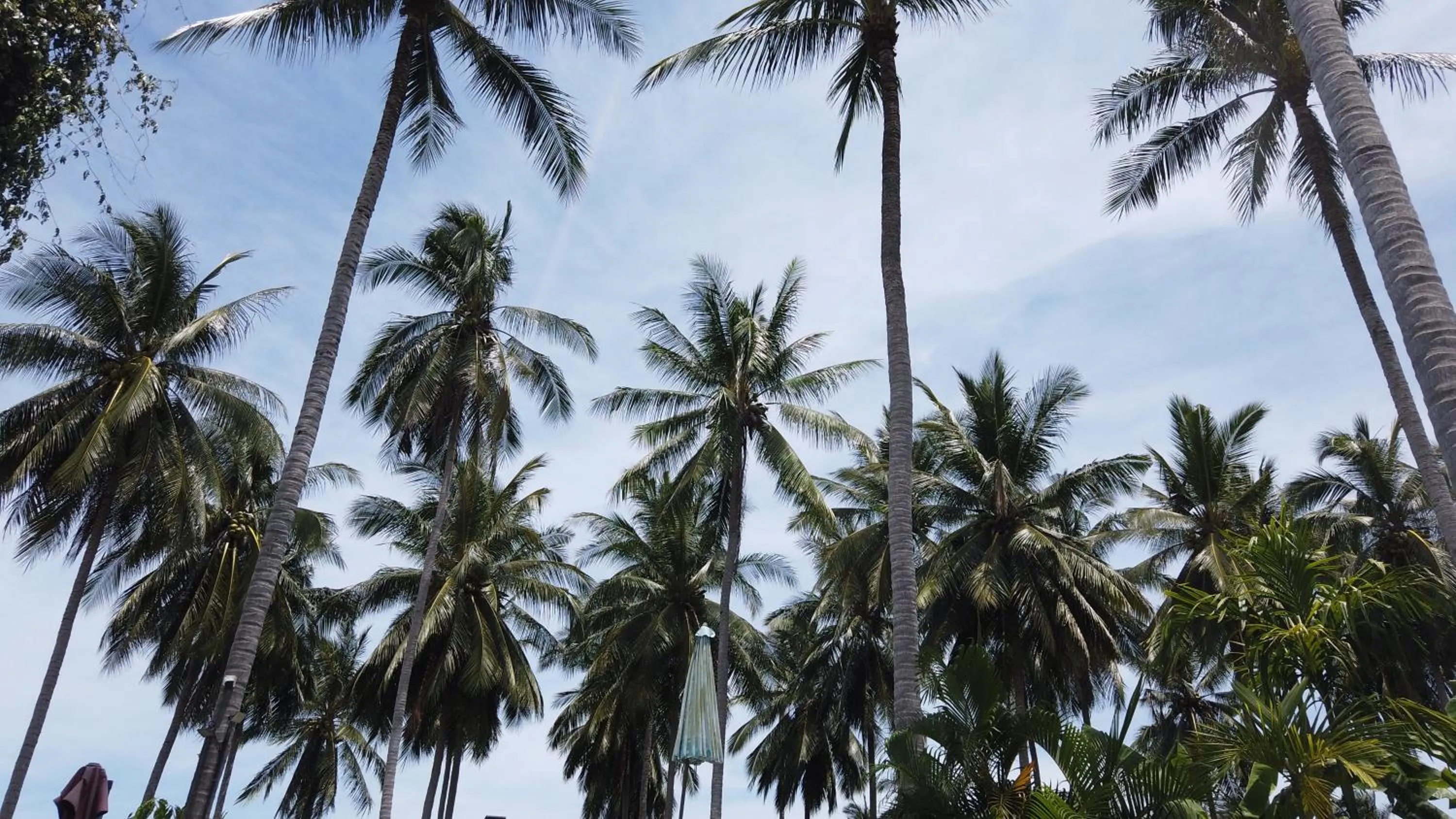 Garden view in Asian Secret Resort