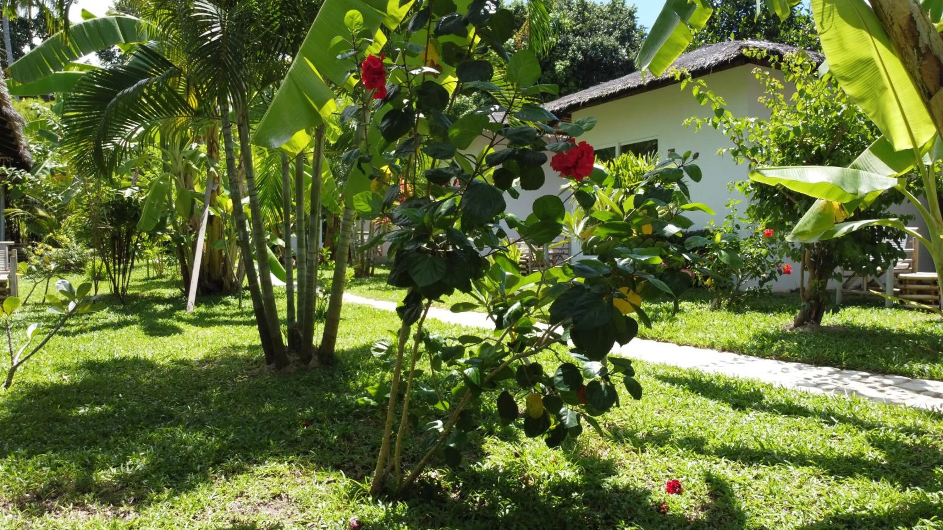 Day in Asian Secret Resort