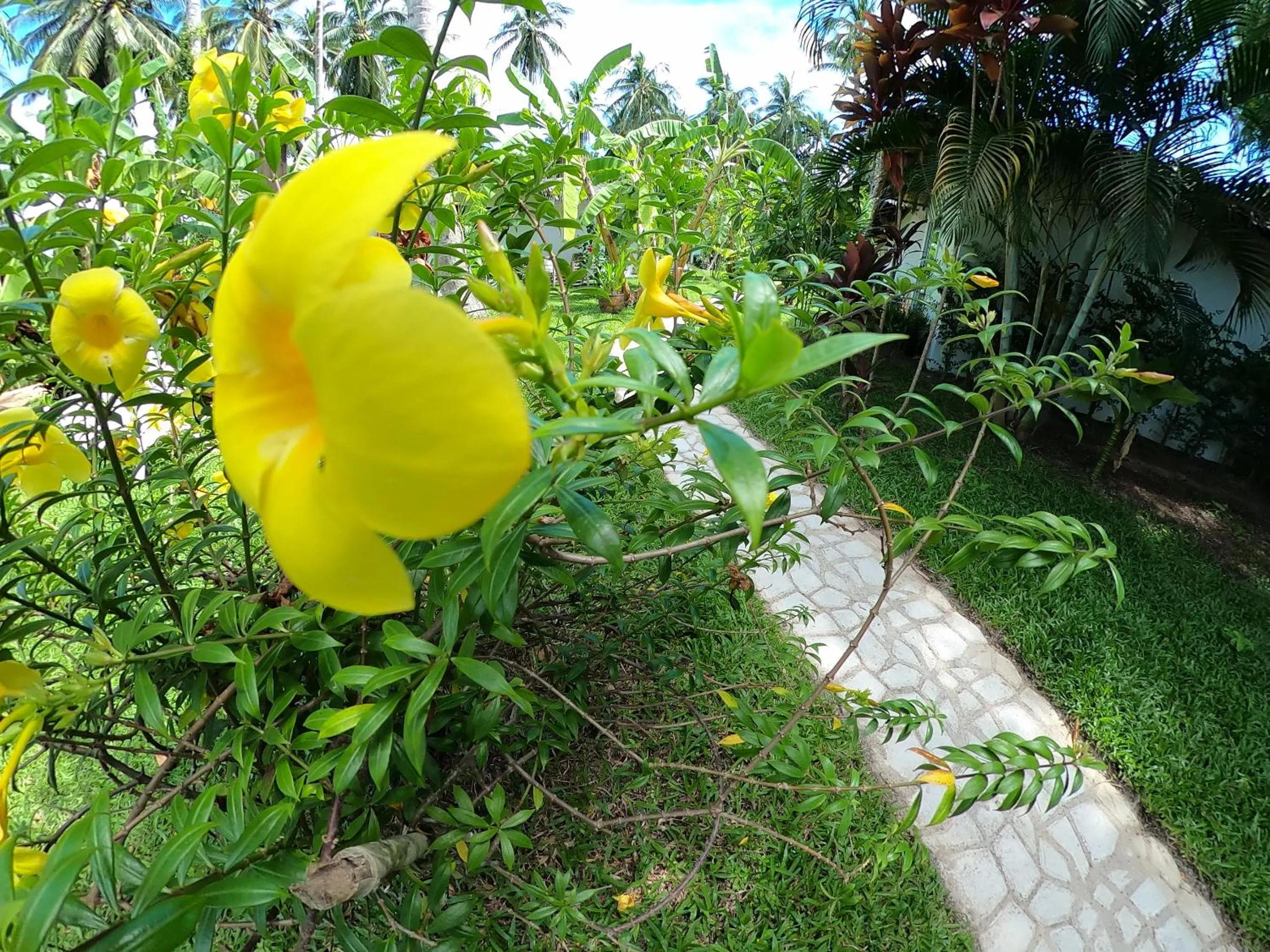 On site in Asian Secret Resort