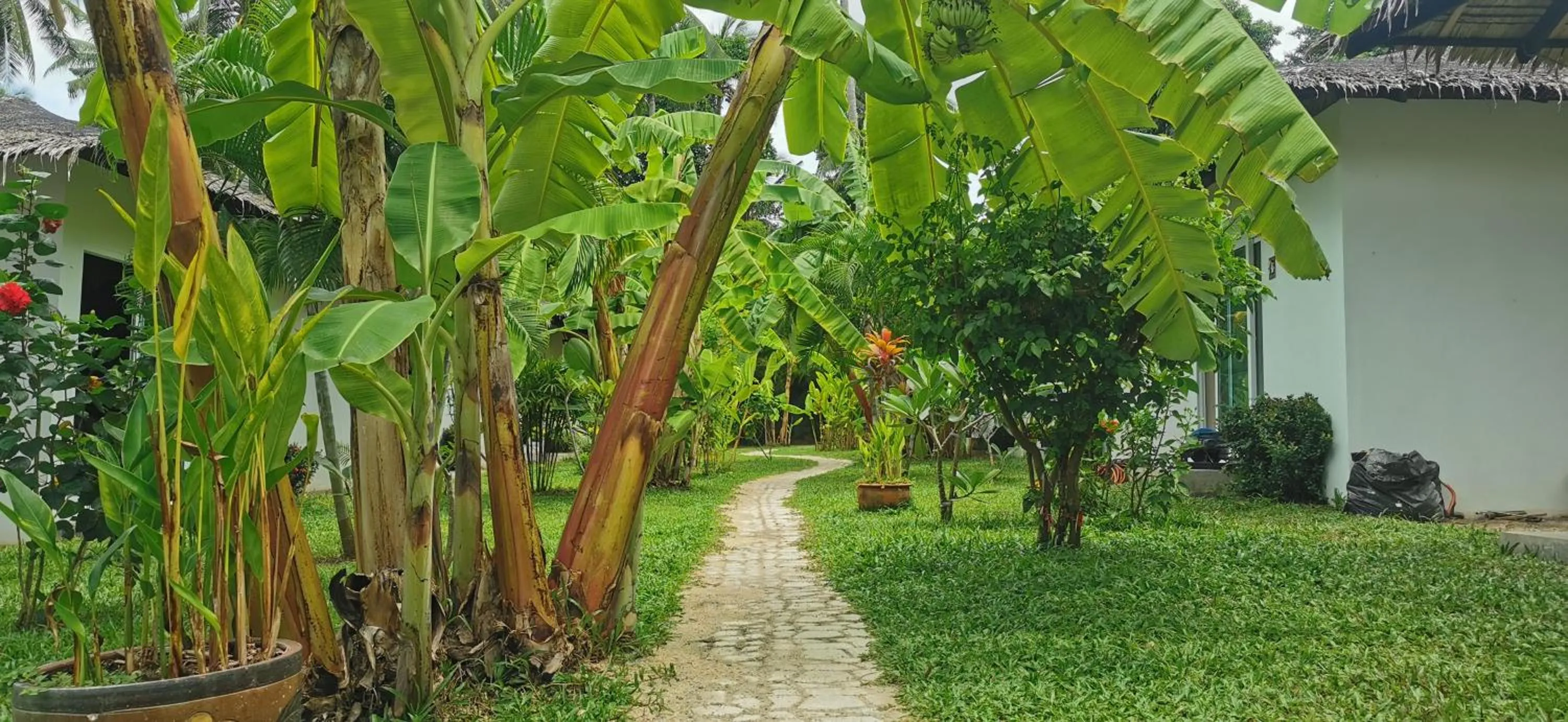 Patio in Asian Secret Resort