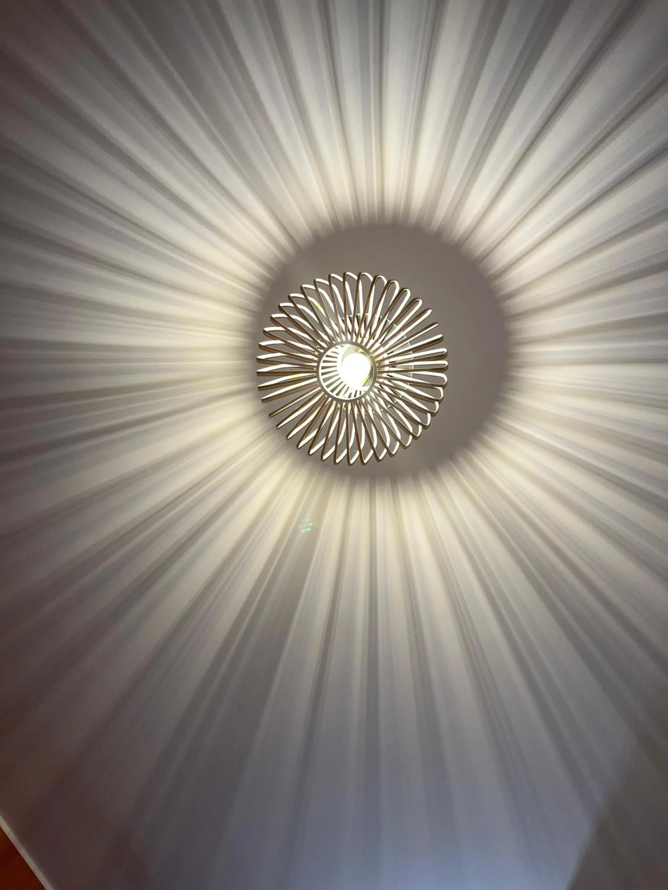 Decorative detail in Giuseppe & Greta