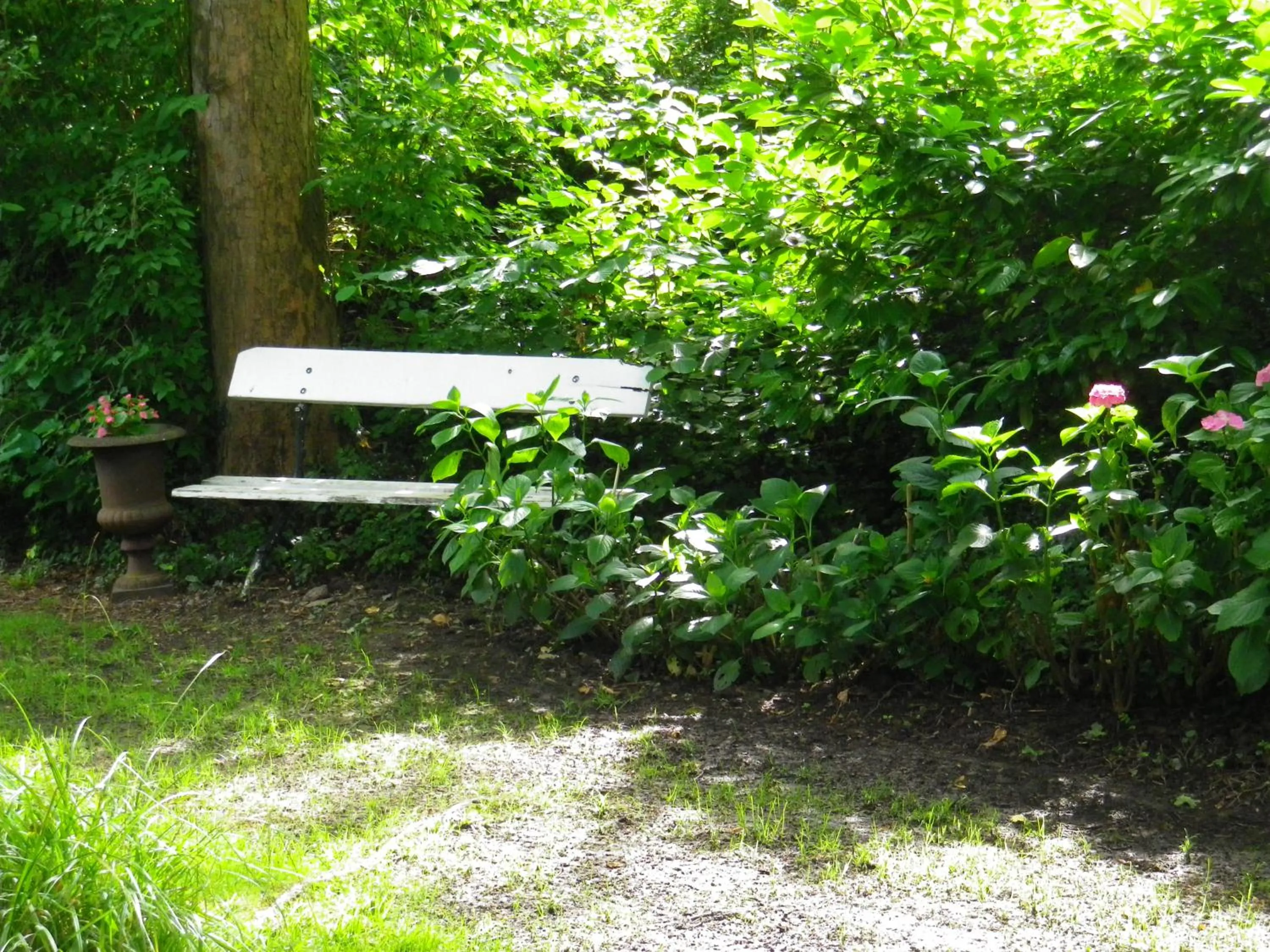 Garden in Château de Bonne Espérance