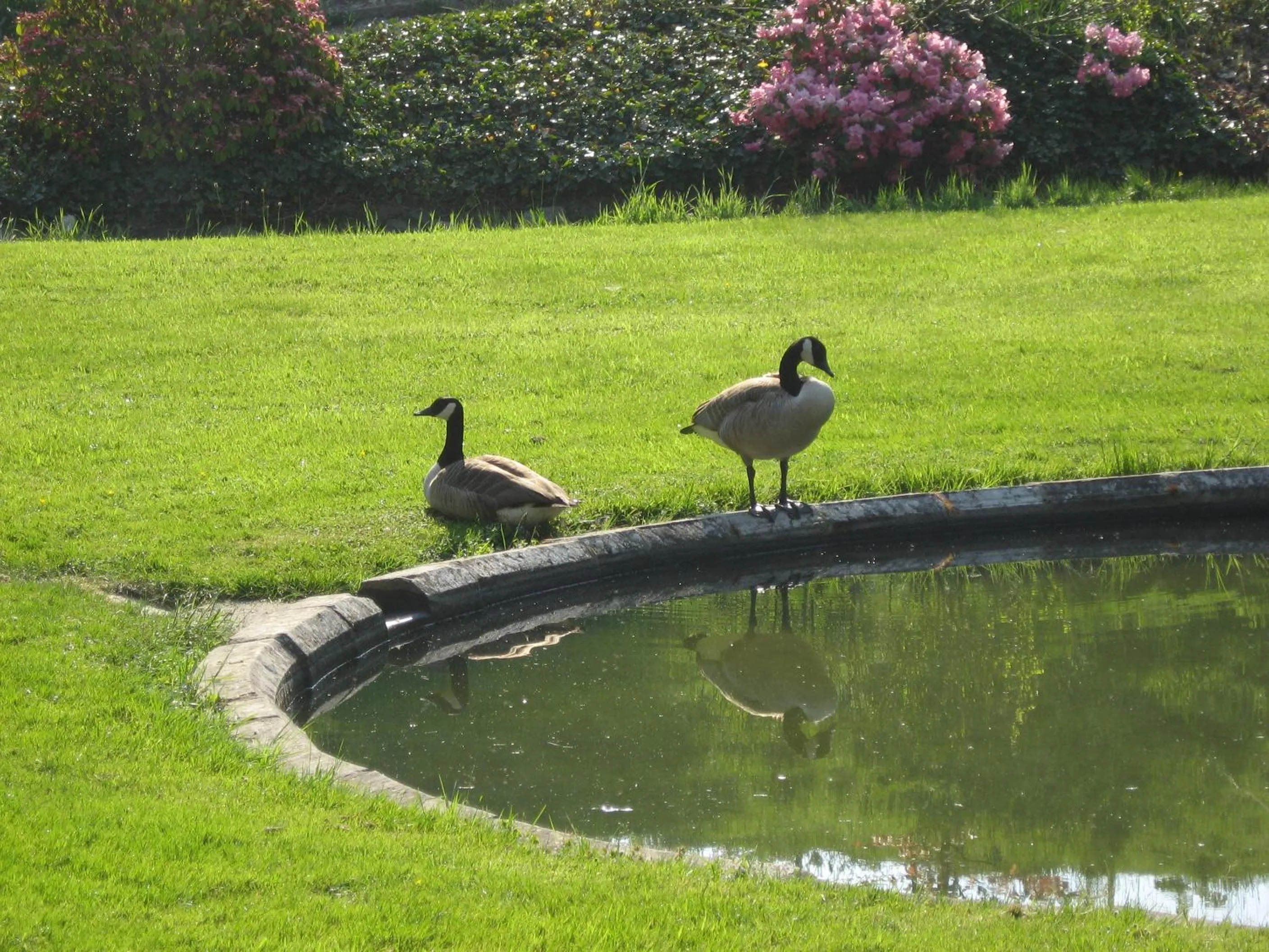 Garden view in Château de Bonne Espérance