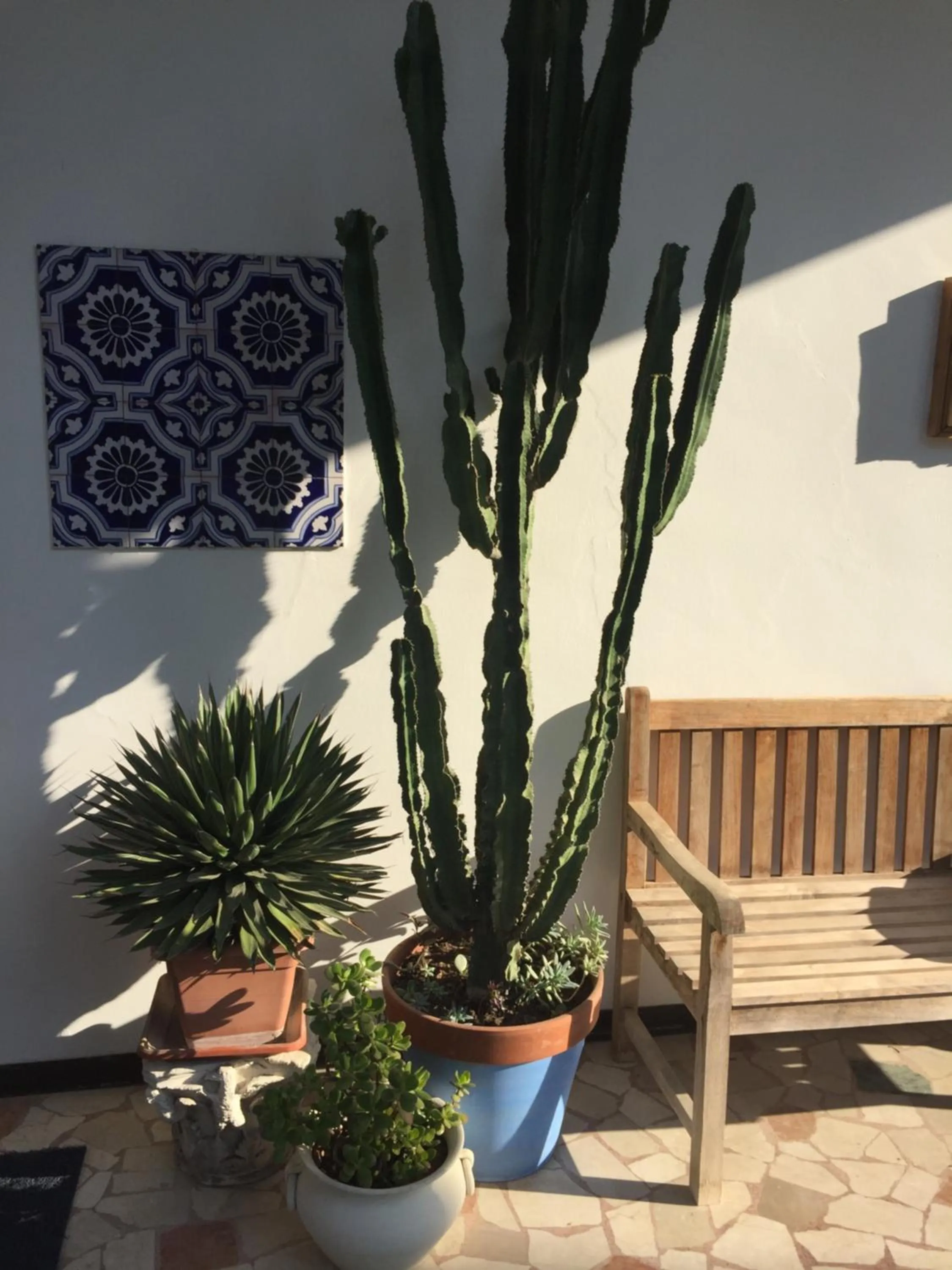 B&B La Villa Mediterranea