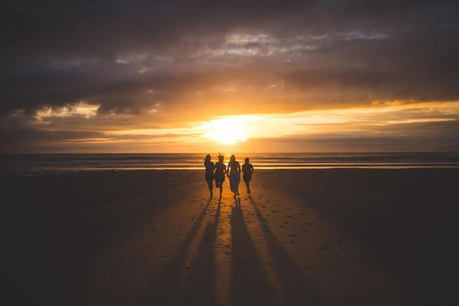 Natural landscape in Palm Cottage